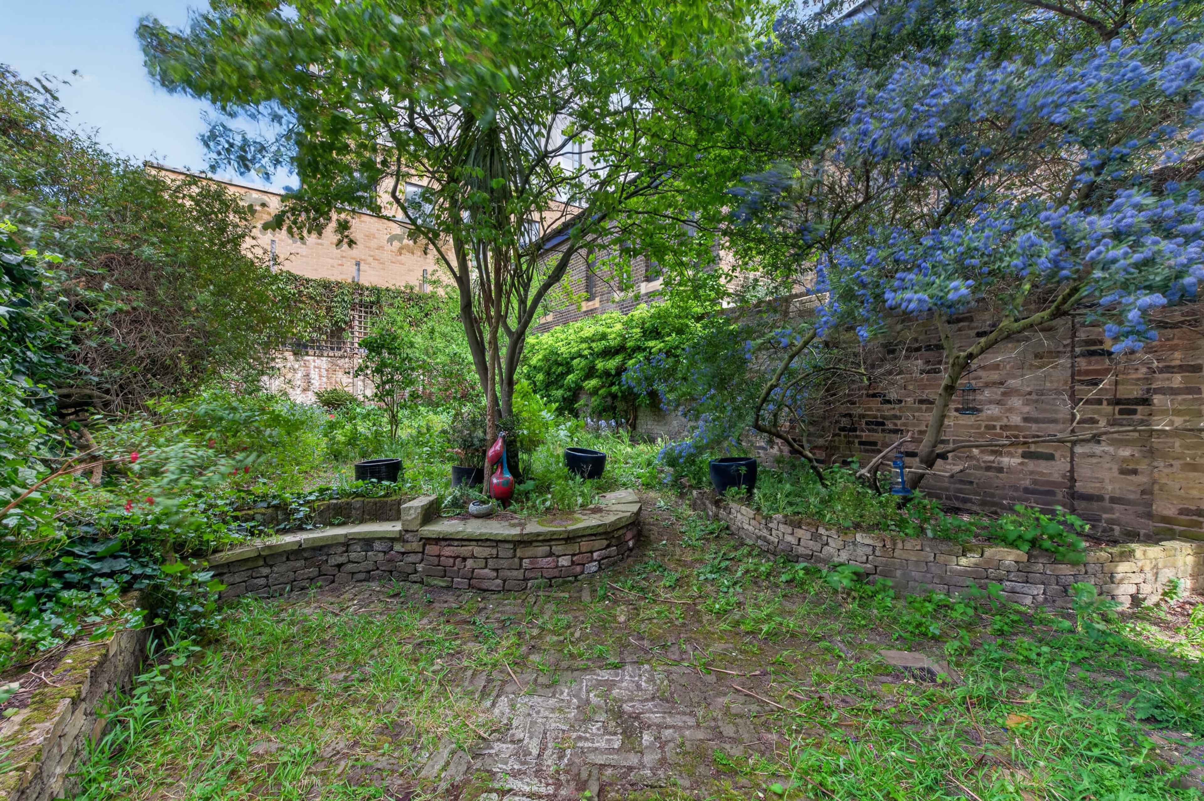 A secluded garden features a central tree surrounded by overgrown greenery and stone walls, with potted plants arranged along the perimeter.