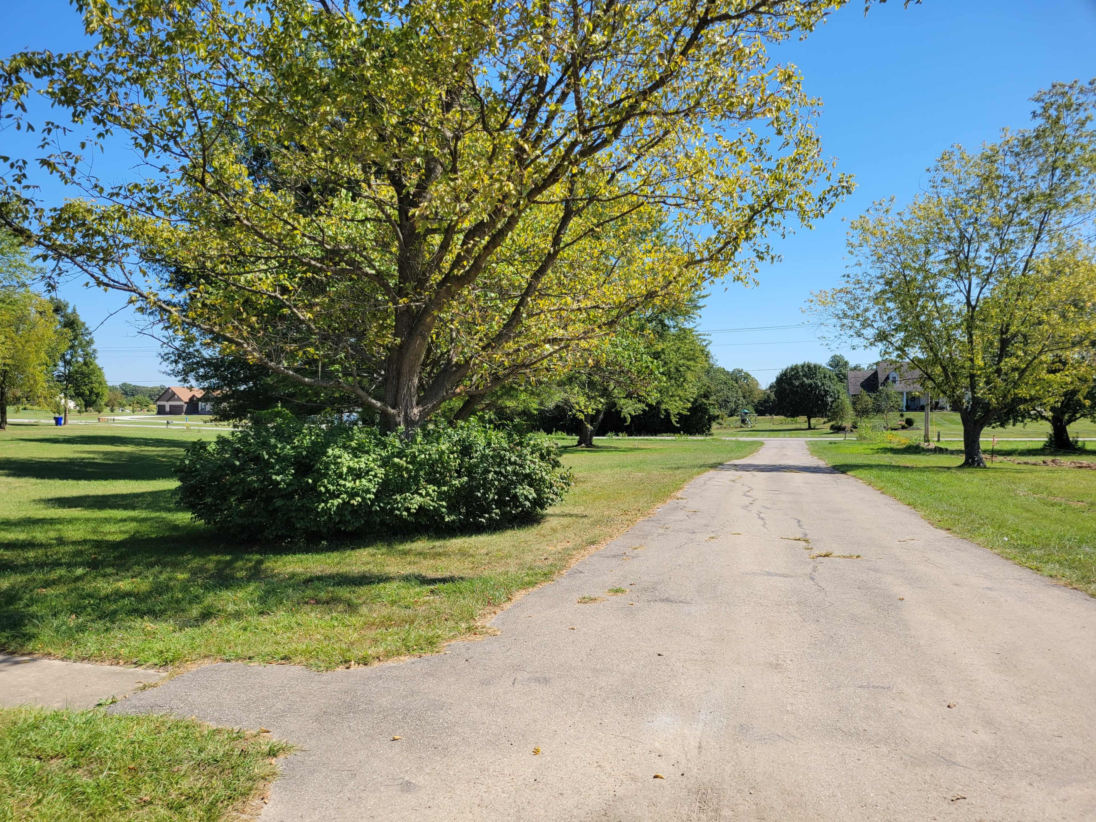 The image shows a quiet, tree-lined road leading into a green landscape with scattered trees and houses in the distance under a clear blue sky.