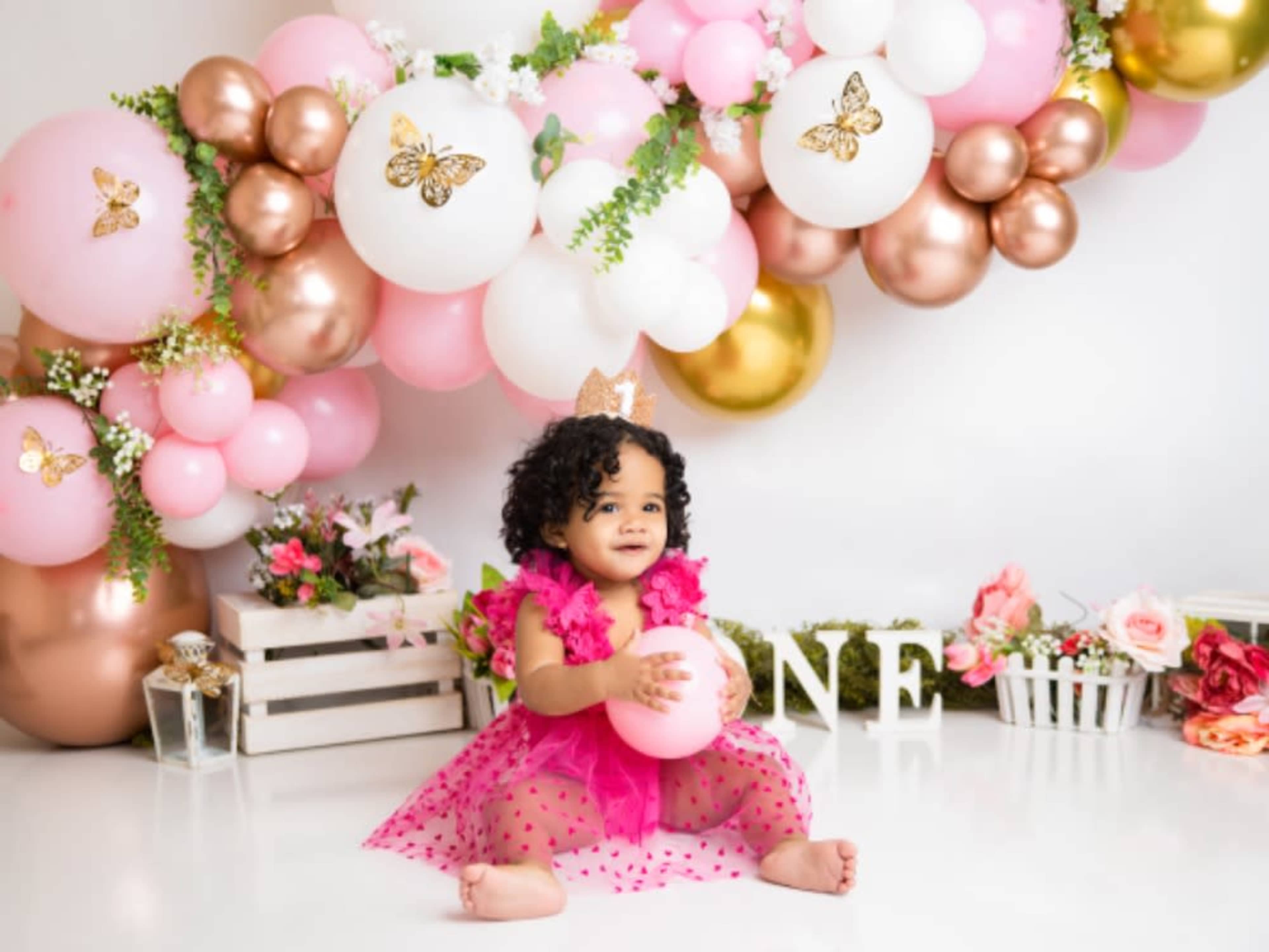 Milestone/Cake Smash Collection