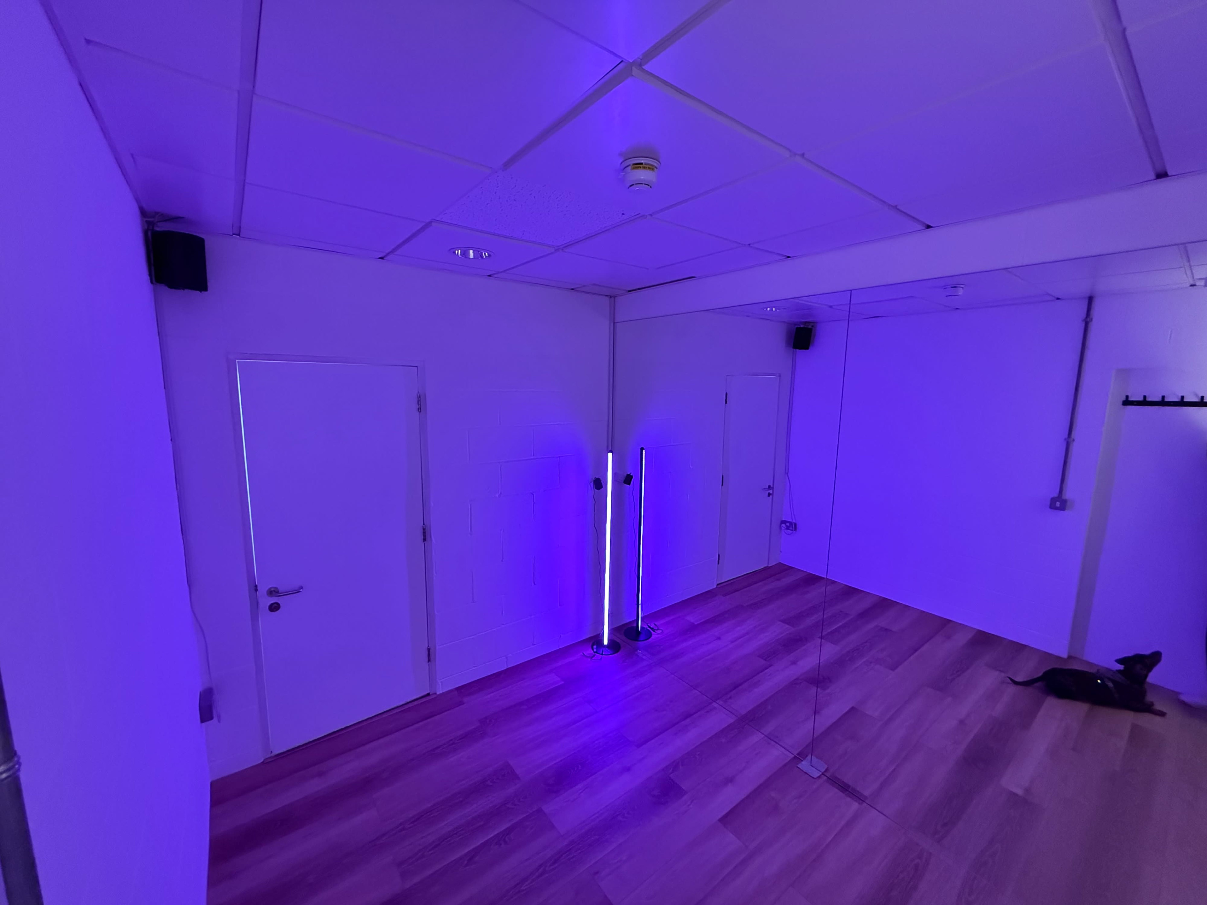 A room with white walls and wooden flooring features purple lighting, a mirror, and a small dog resting on the floor.