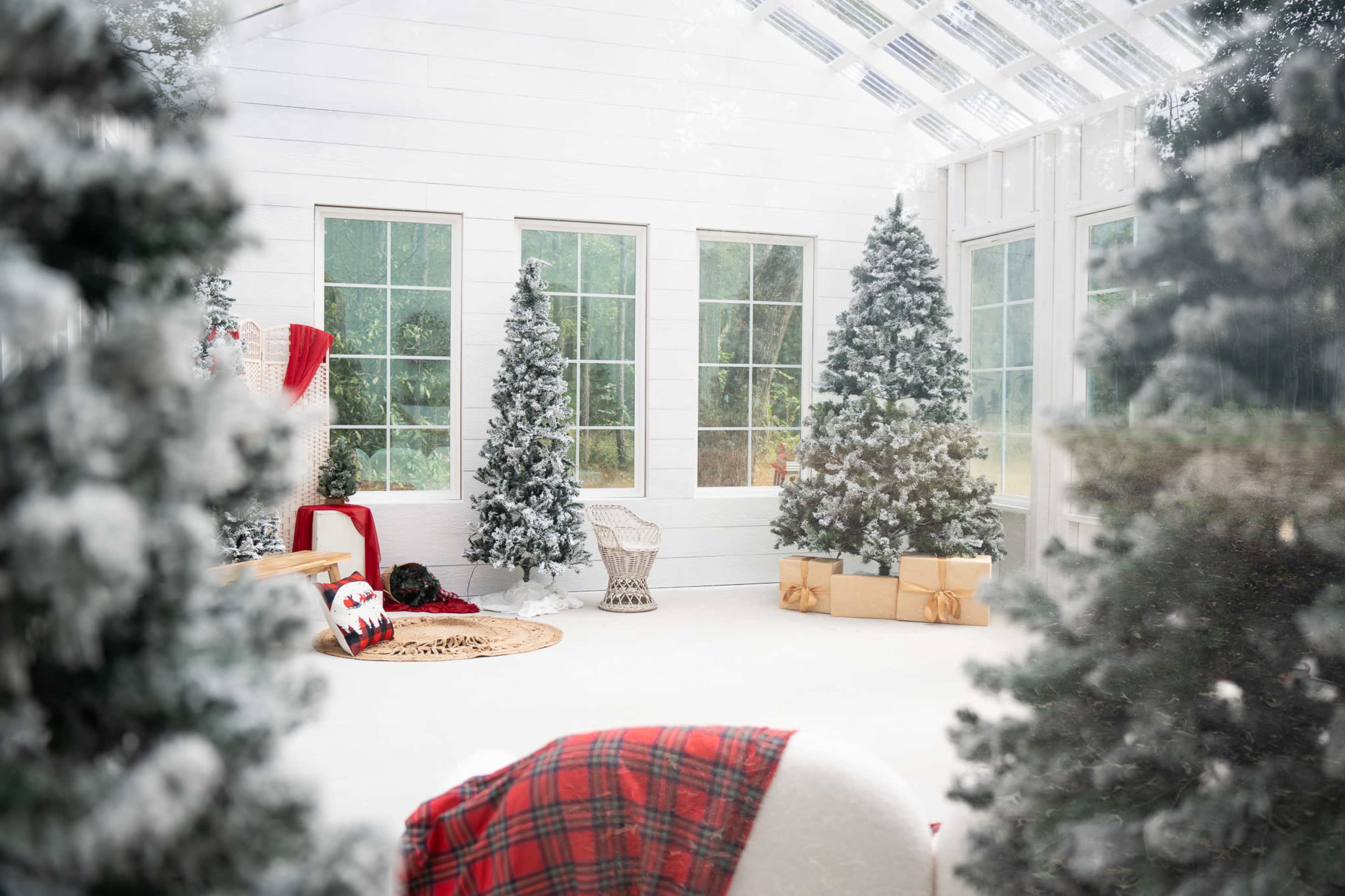 Natural Lighting Outdoor Greenhouse Image in , Montgomery, TX