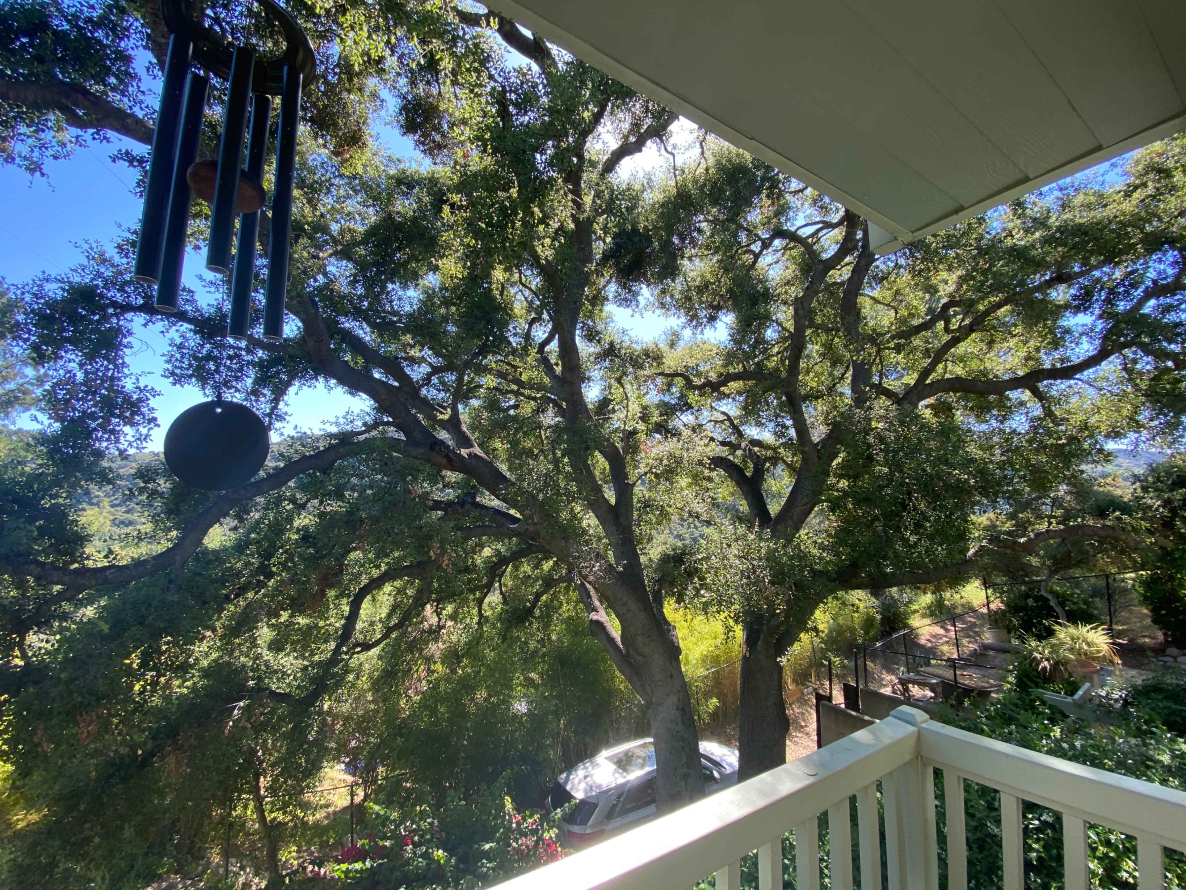A view from a balcony shows large trees and a car parked in a lush, green landscape.