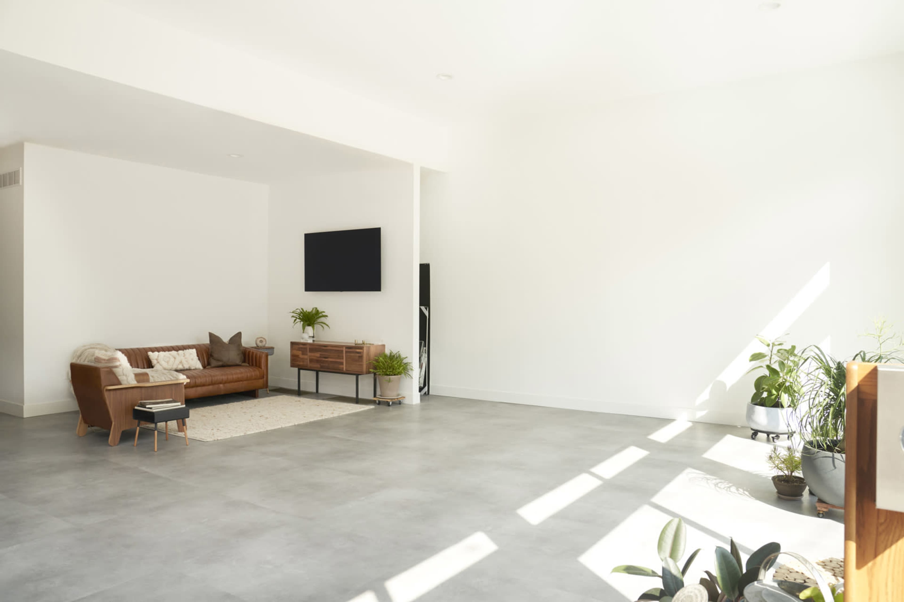 The image shows a spacious, modern living room with a brown leather couch, a television mounted on the wall, and several plants arranged in the corners.