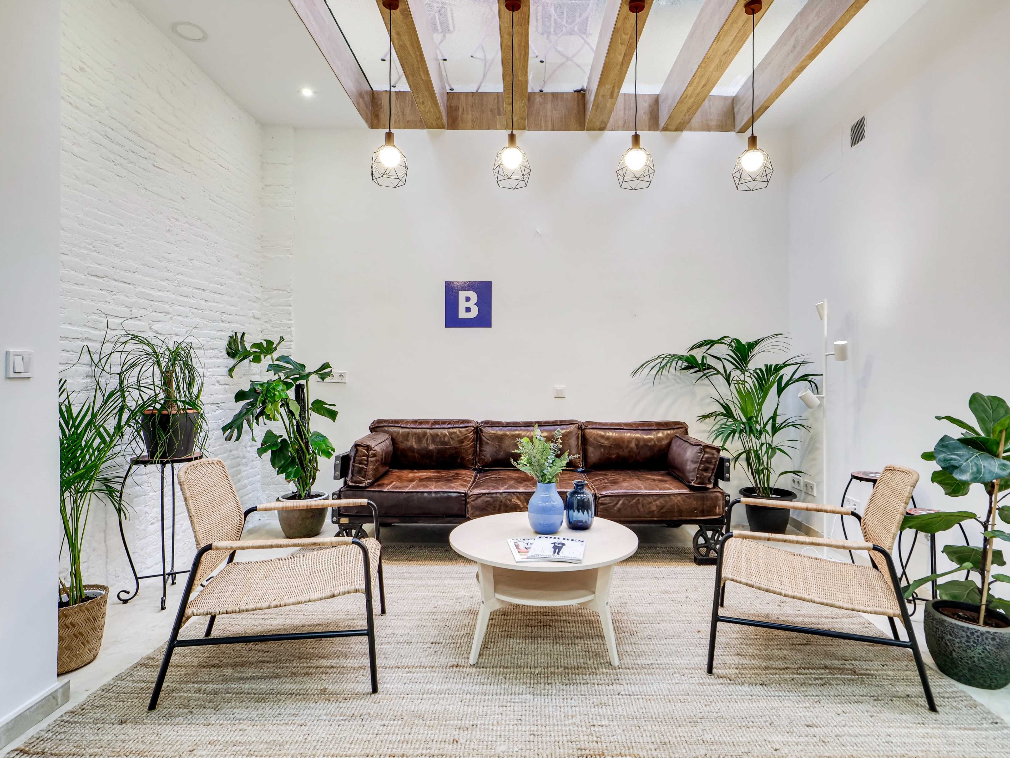 The image shows a spacious living area furnished with a brown leather sofa, two woven chairs, a round coffee table, and various indoor plants, illuminated by pendant lights.