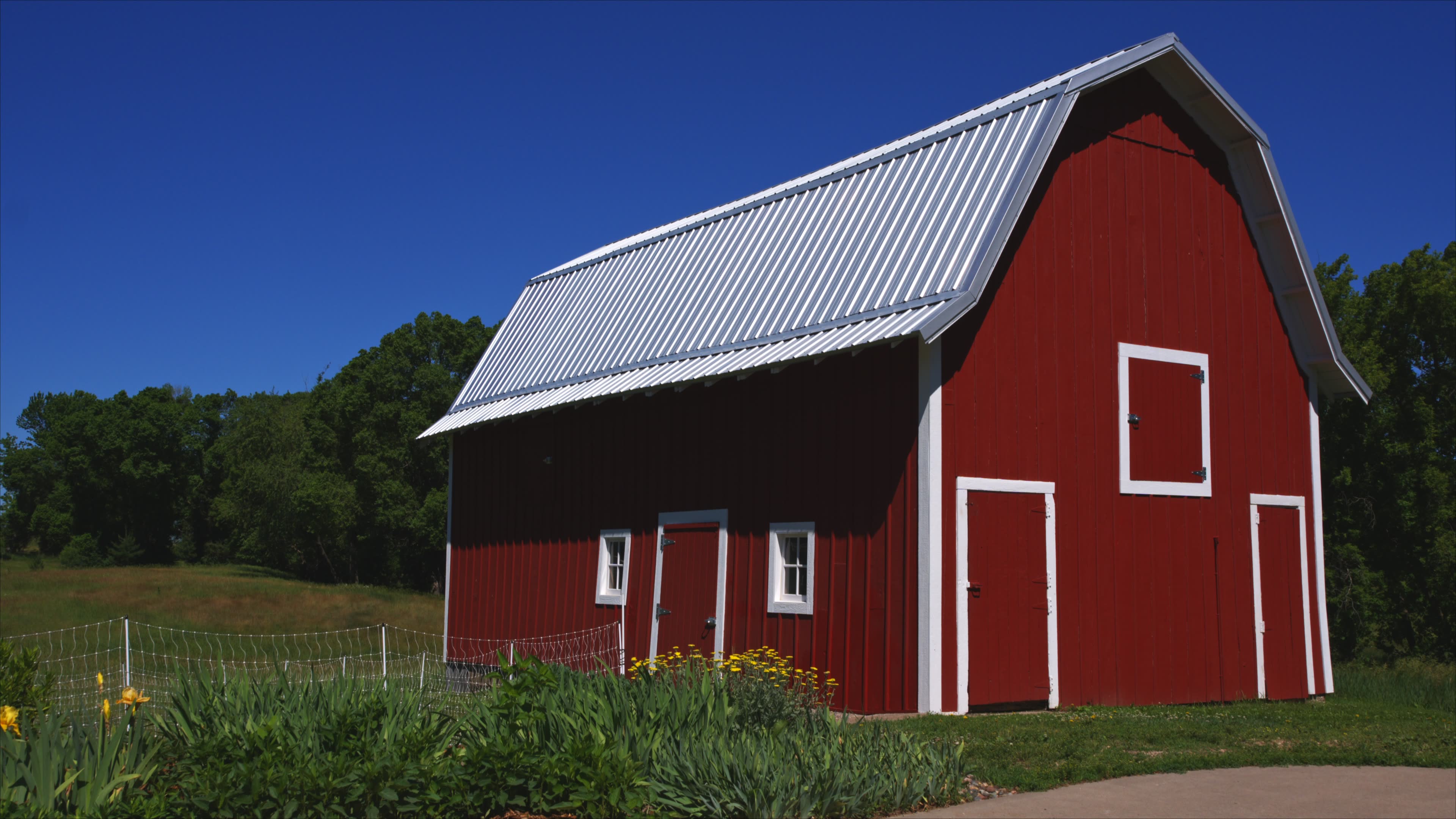 A red barn with a white roof and trim sits in a grassy field surrounded by trees.