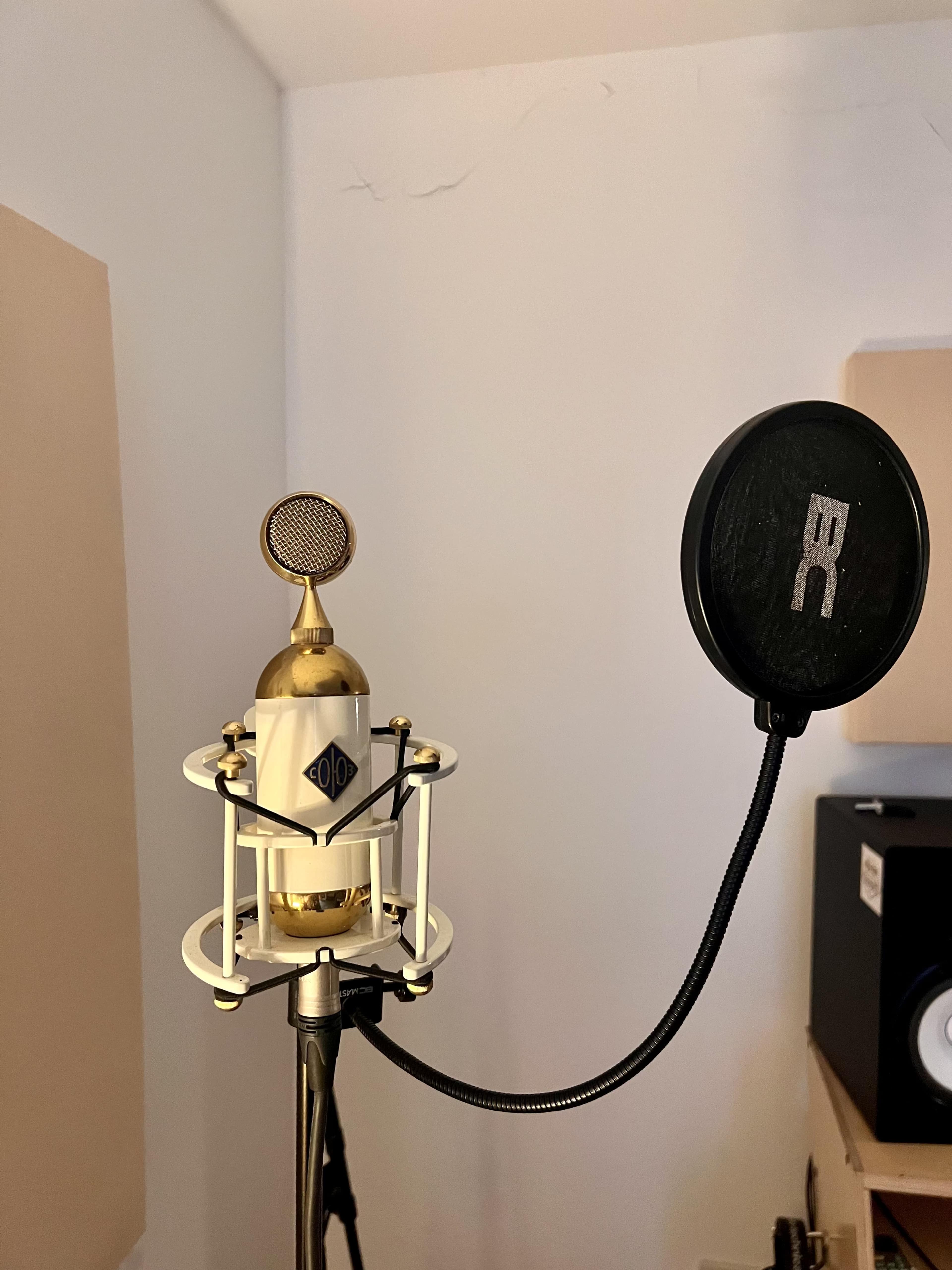 A vintage-style microphone is mounted on a stand with a pop filter attached nearby in a recording studio setting.