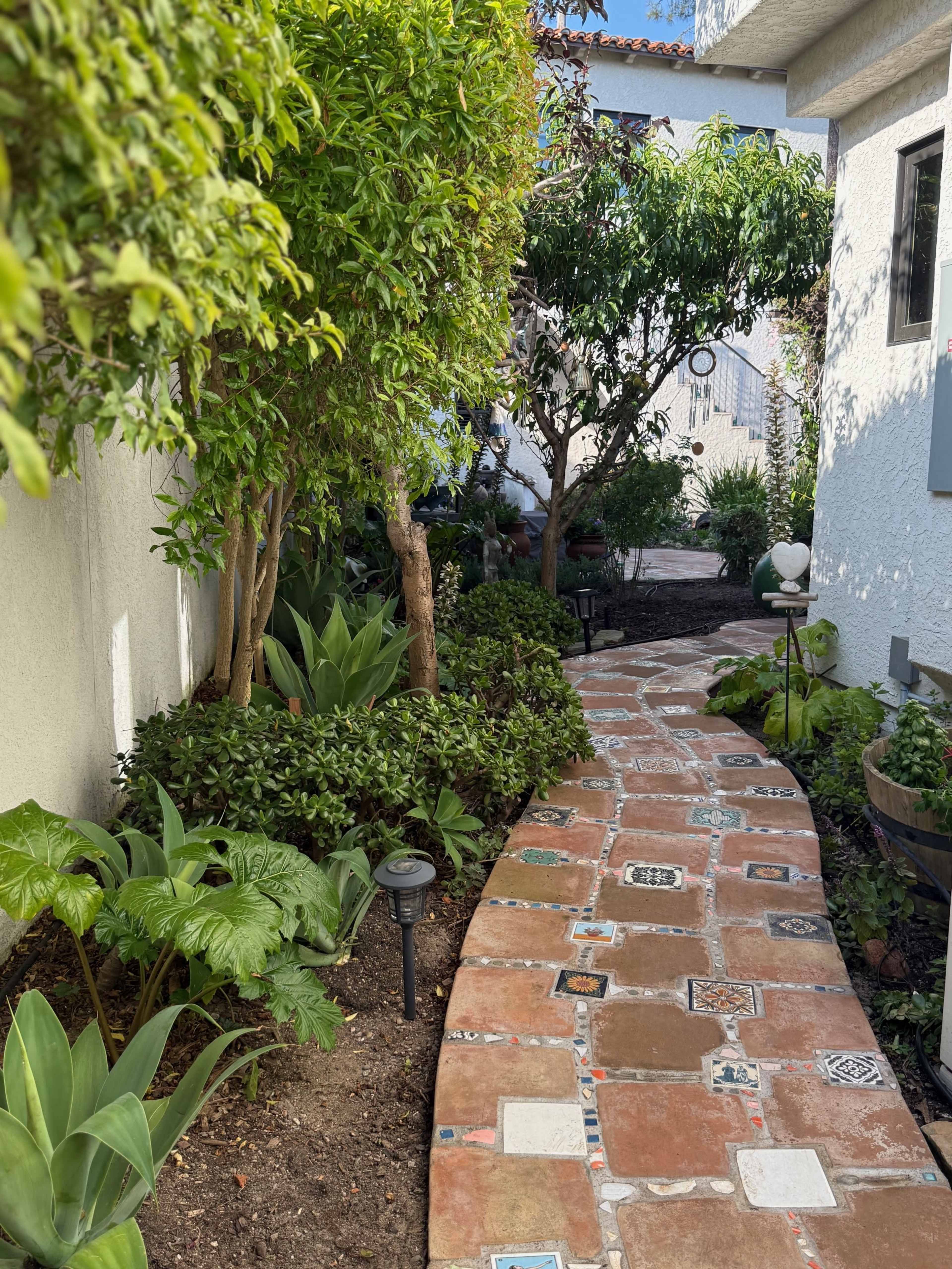 A winding stone pathway lined with plants leads through a quiet garden space beside a white building.