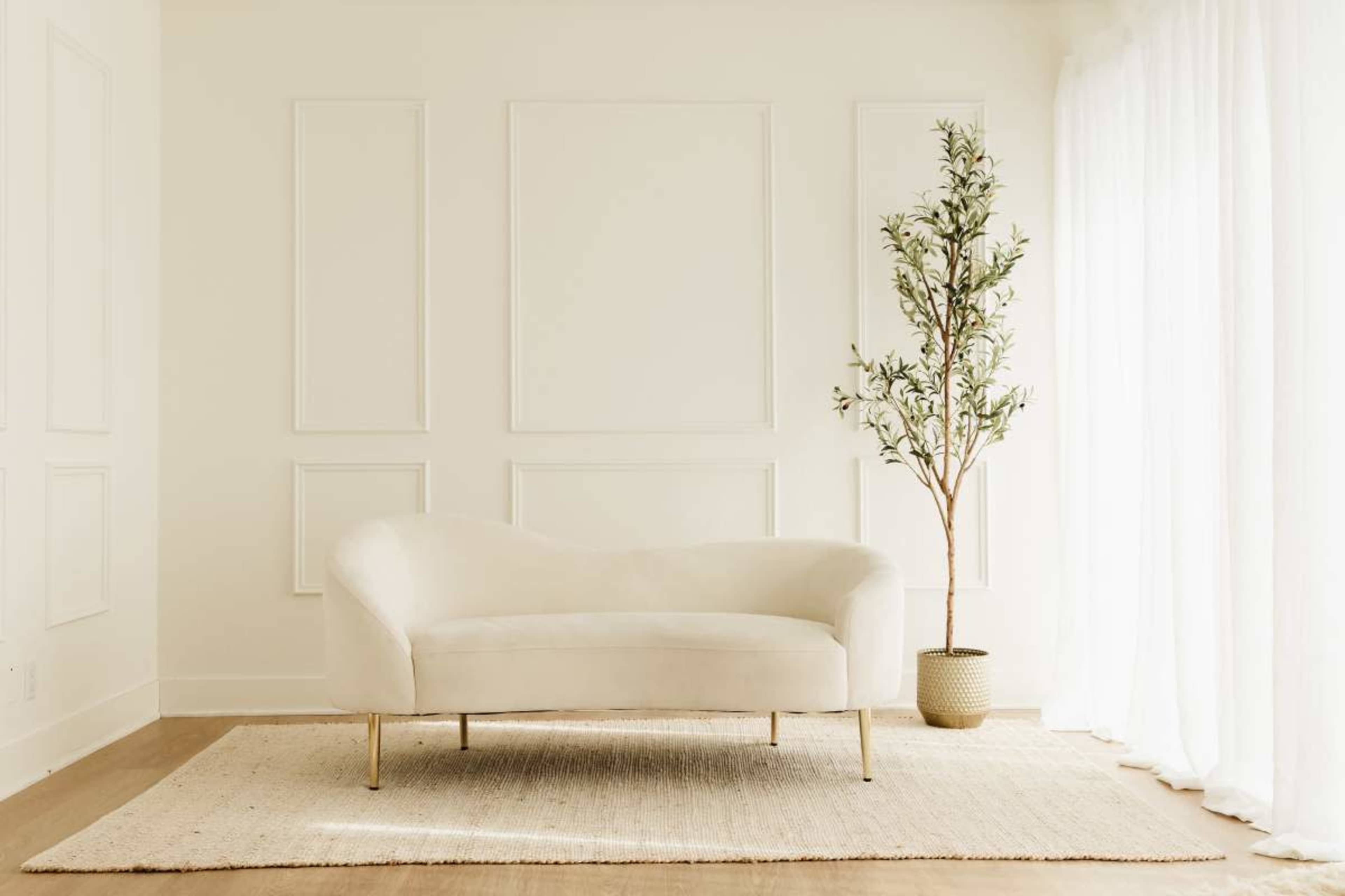 A light-colored sofa is positioned in a bright room with white walls, next to a potted tree and sheer curtains.