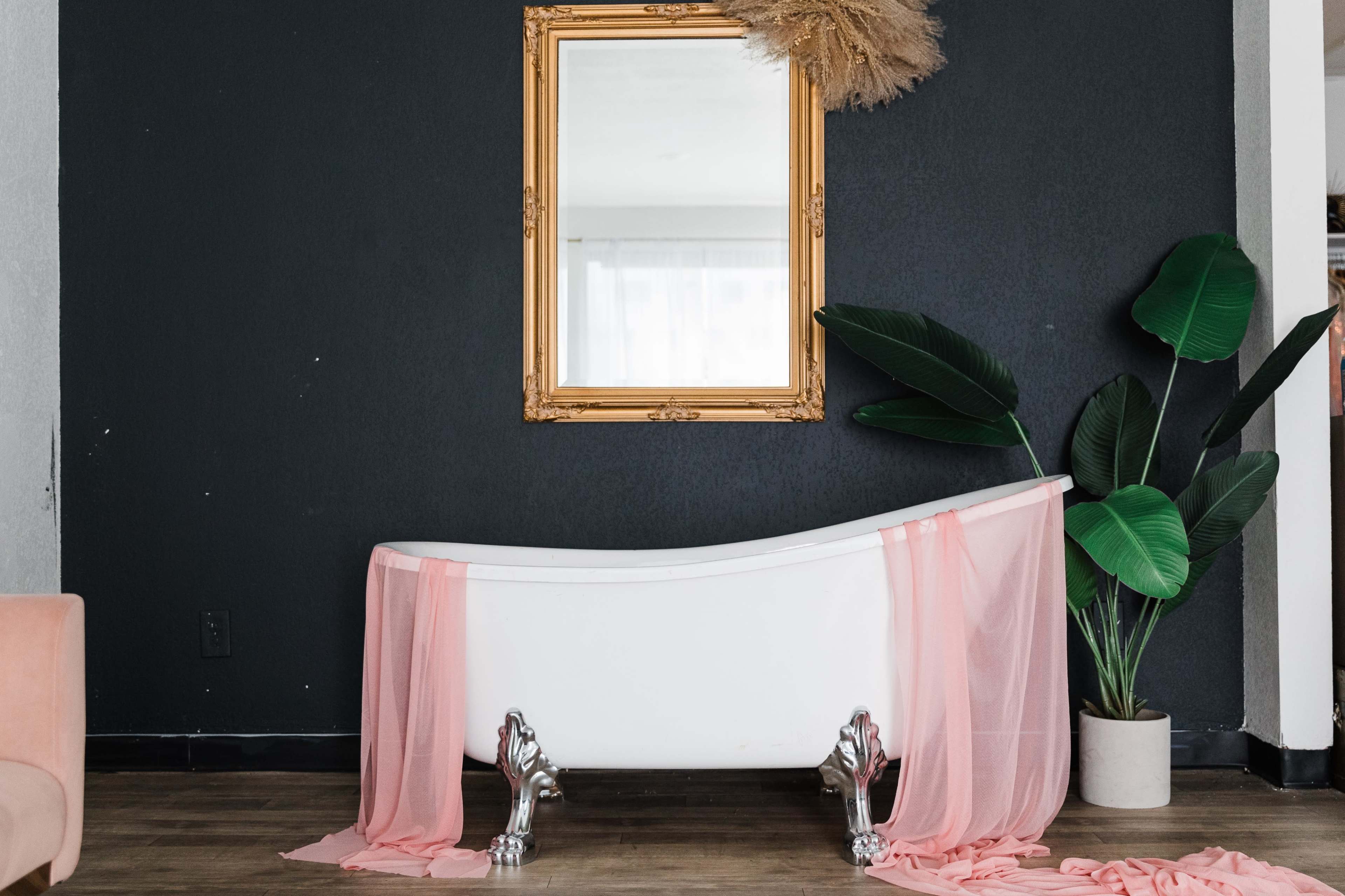 A vintage white bathtub is set against a dark wall, draped with sheer pink fabric, accompanied by a large mirror and a potted plant.
