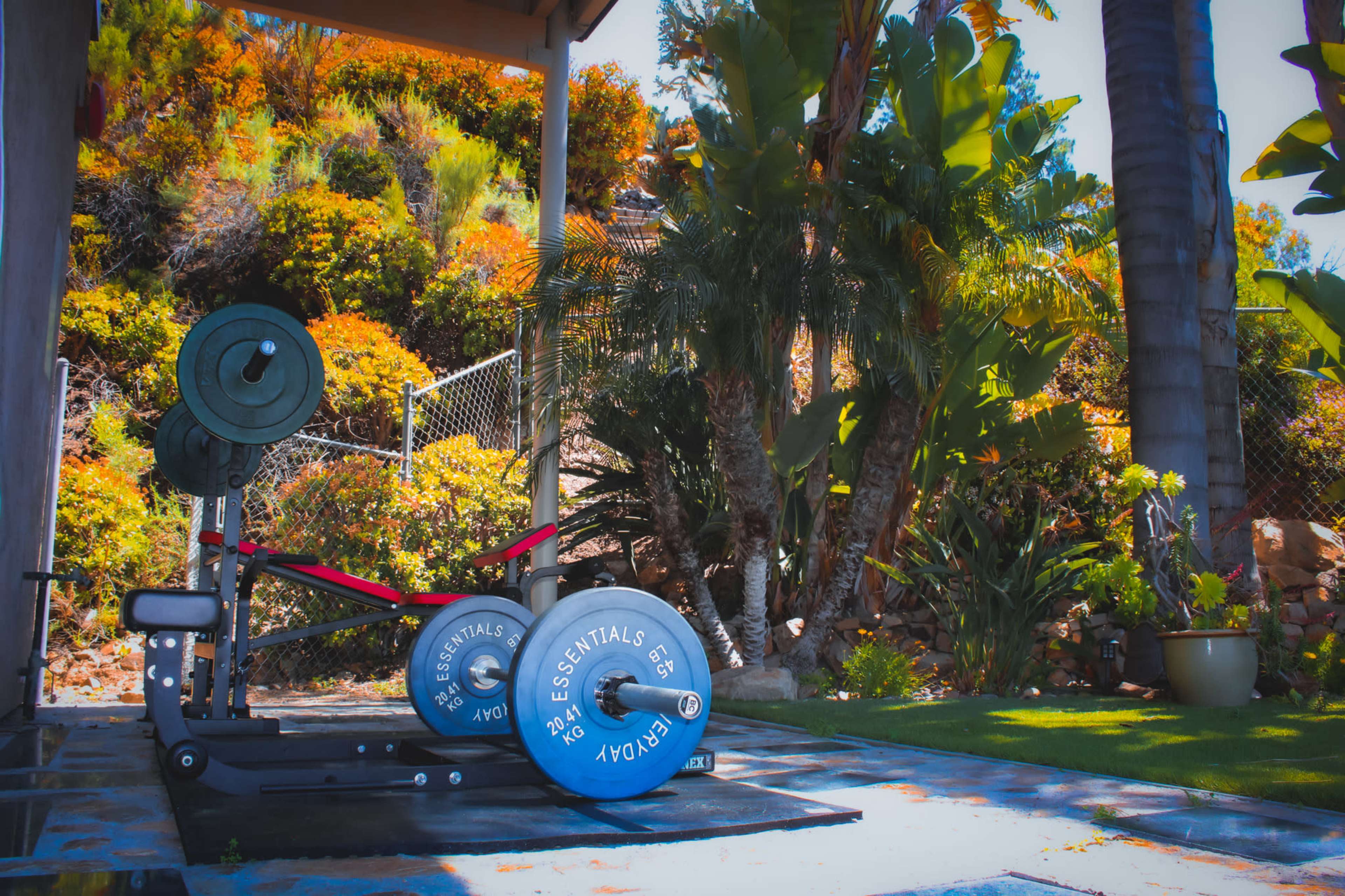 A weightlifting bench and barbell with weight plates are positioned in a backyard surrounded by lush greenery and colorful plants.