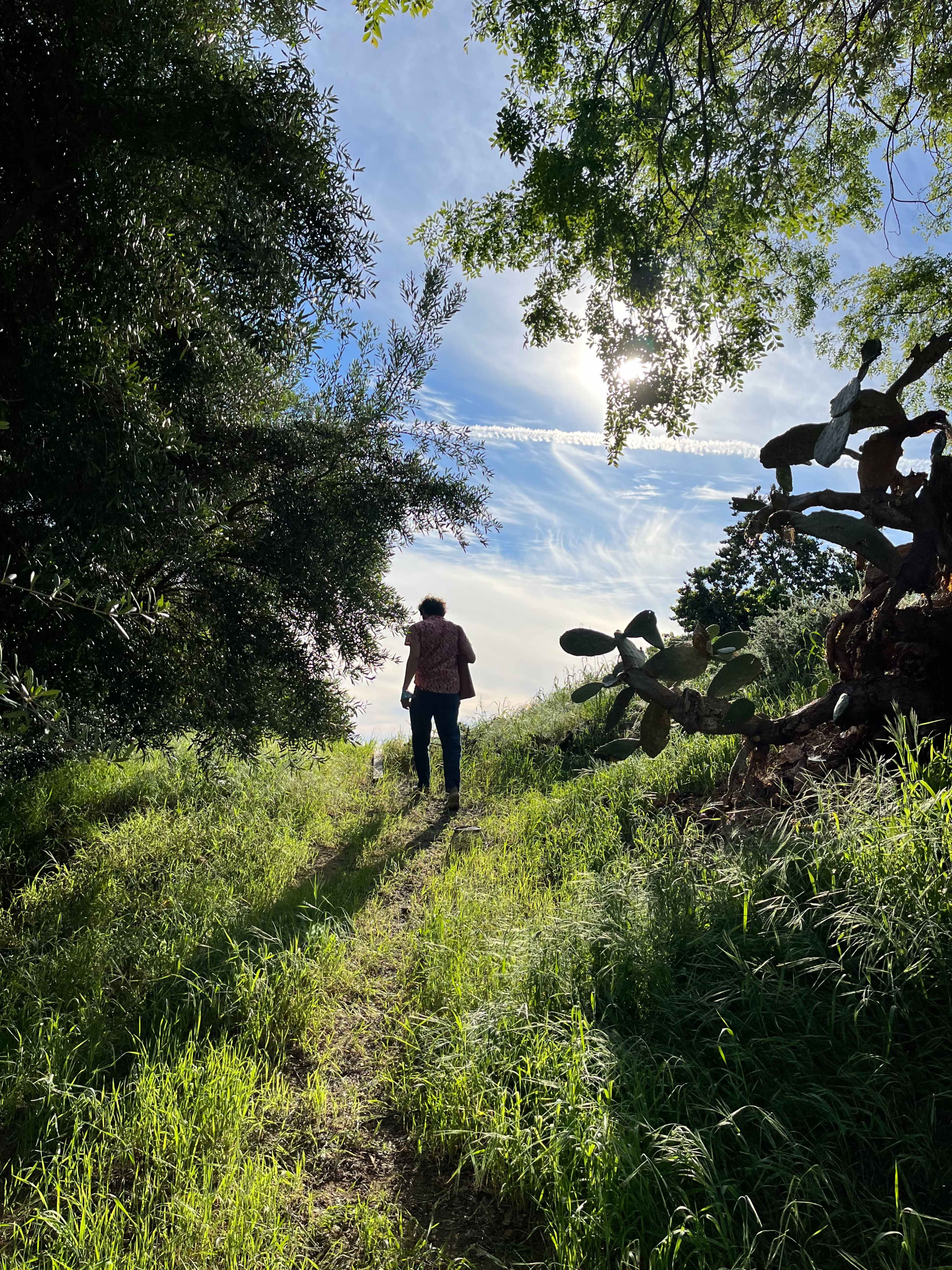 Epic Highland Park Hilltop With 360 Views Image in Northeast Los Angeles, Los Angeles, CA