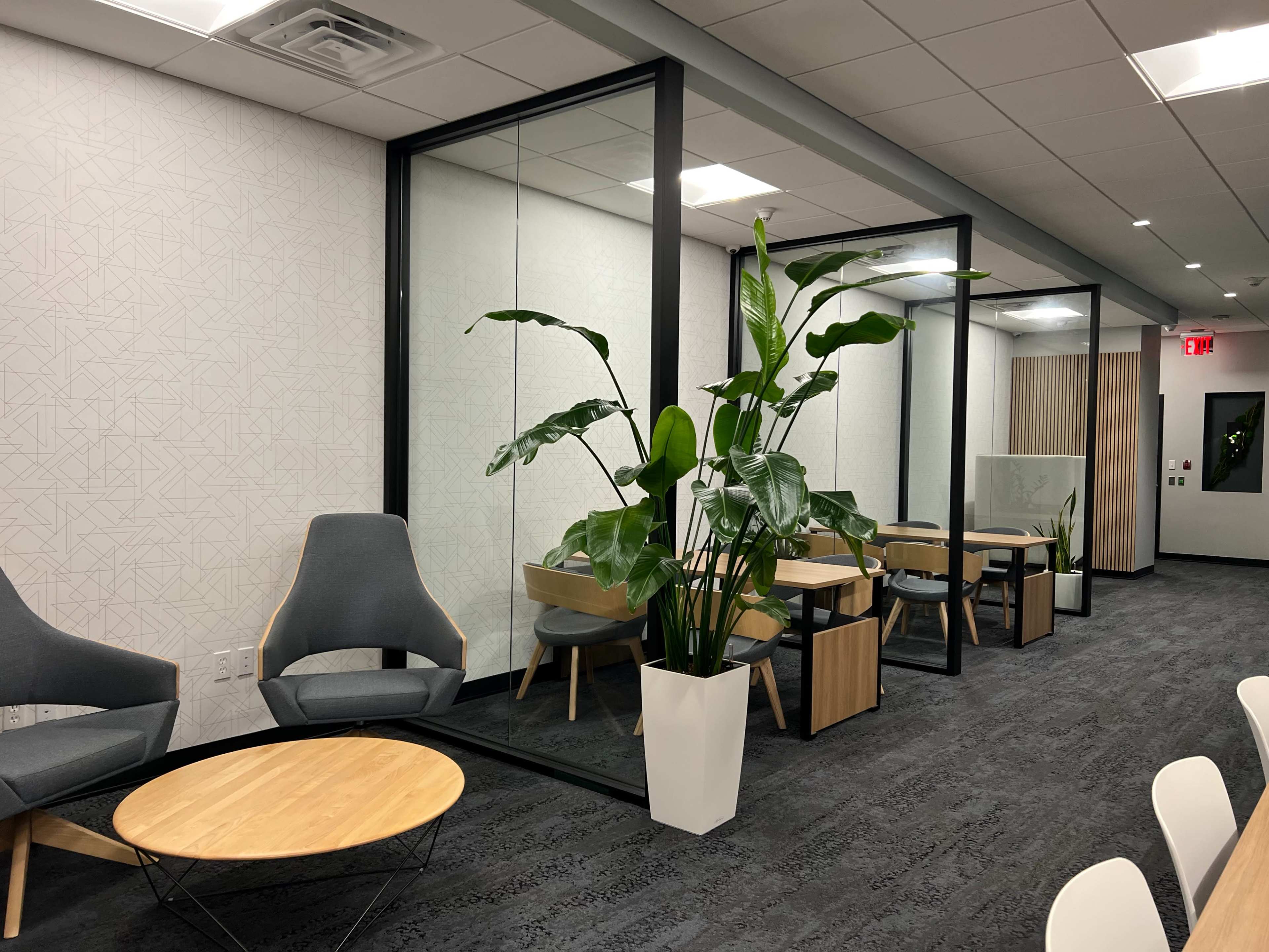 A modern office space with glass-walled meeting rooms, a small indoor plant, and seating areas featuring gray chairs and a wooden coffee table.
