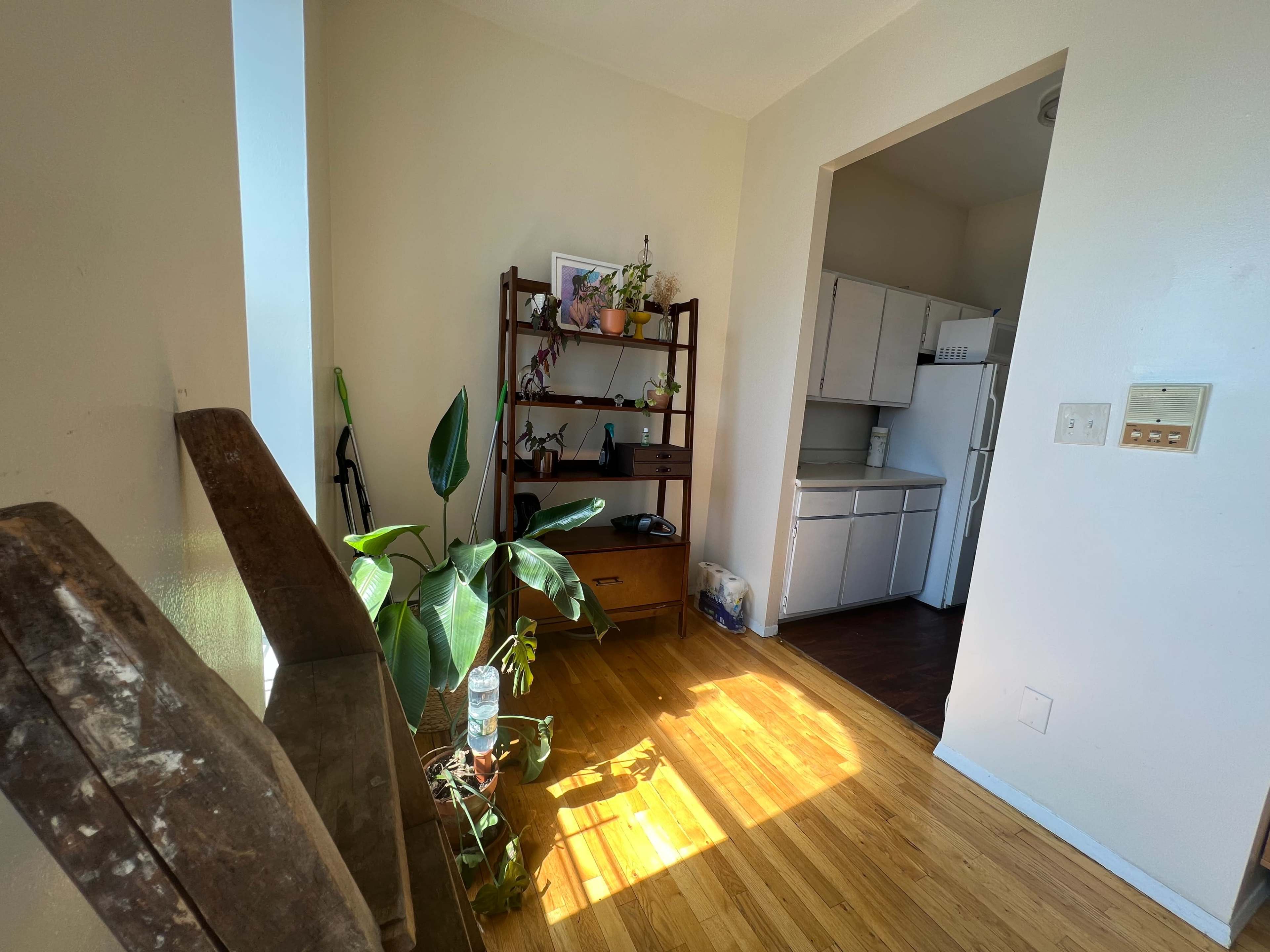 A bright room features a wooden shelf with plants, a kitchen area with white cabinets, and a hardwood floor that reflects sunlight.