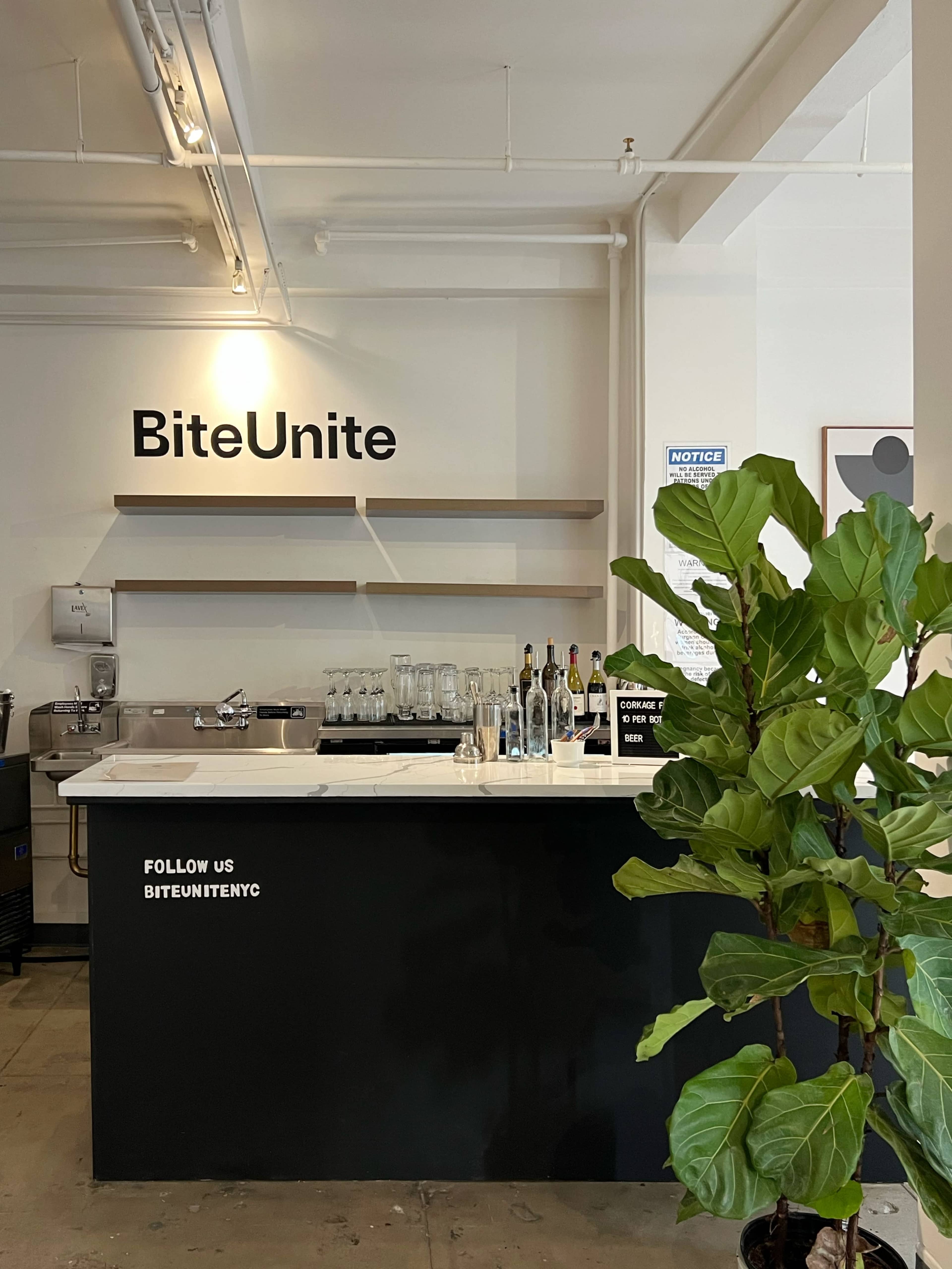 The image shows a modern café counter with the name "BiteUnite" displayed prominently on the wall, a clean countertop with glassware and bottles, and a potted plant nearby.