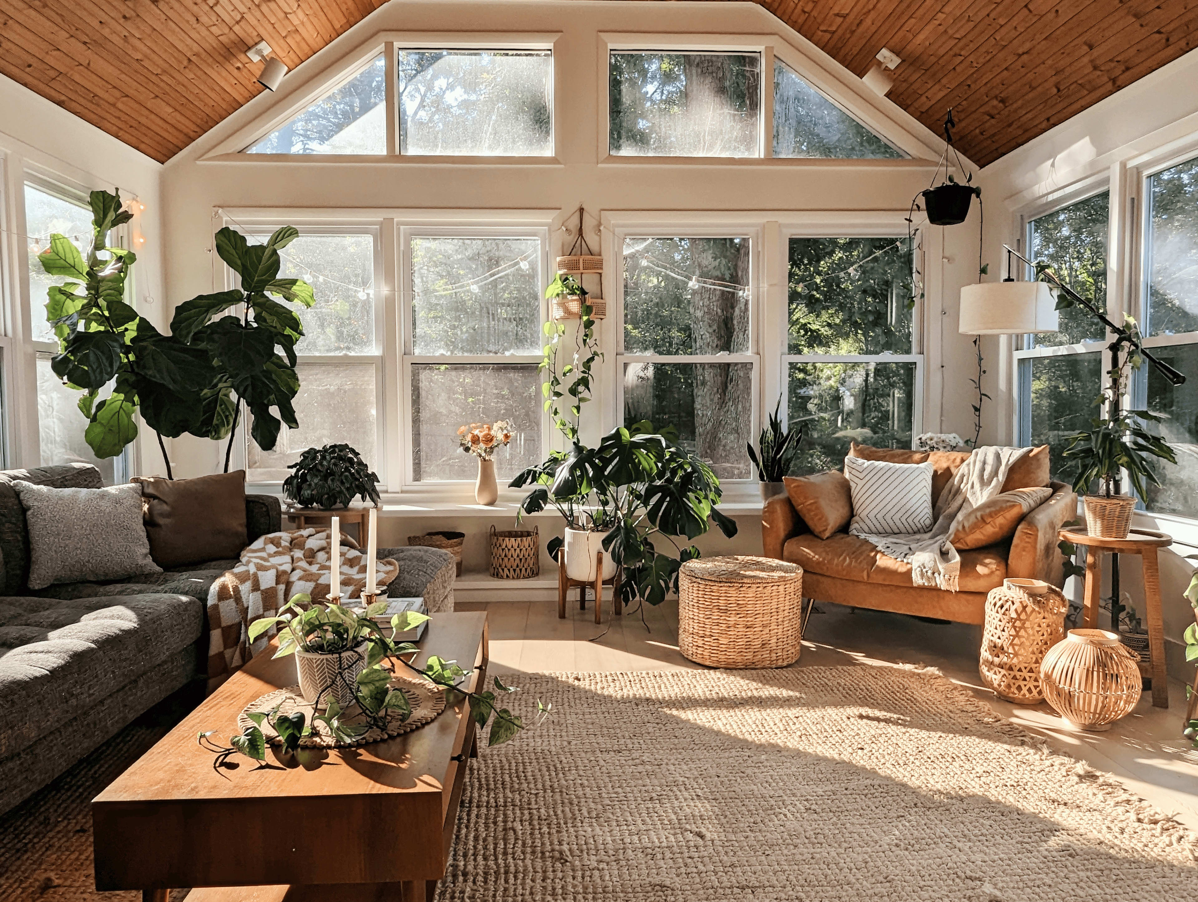 A bright sunroom features large windows, a cozy sofa, a leather chair, and various plants arranged throughout the space.