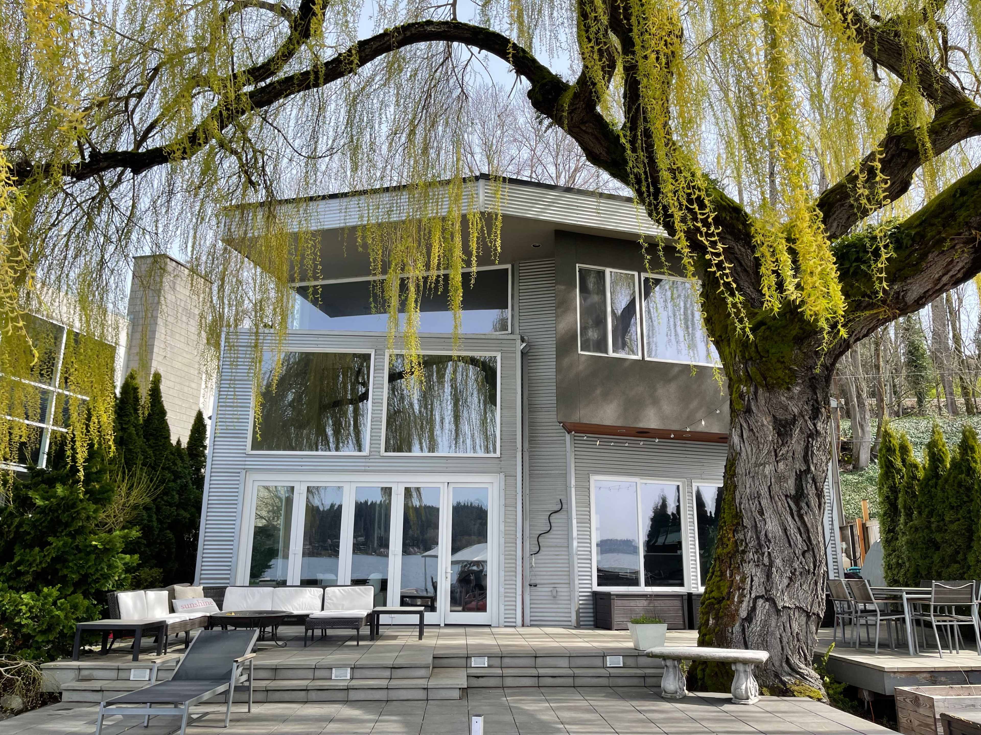 A modern house with large windows and a patio surrounded by a willow tree and shrubs.