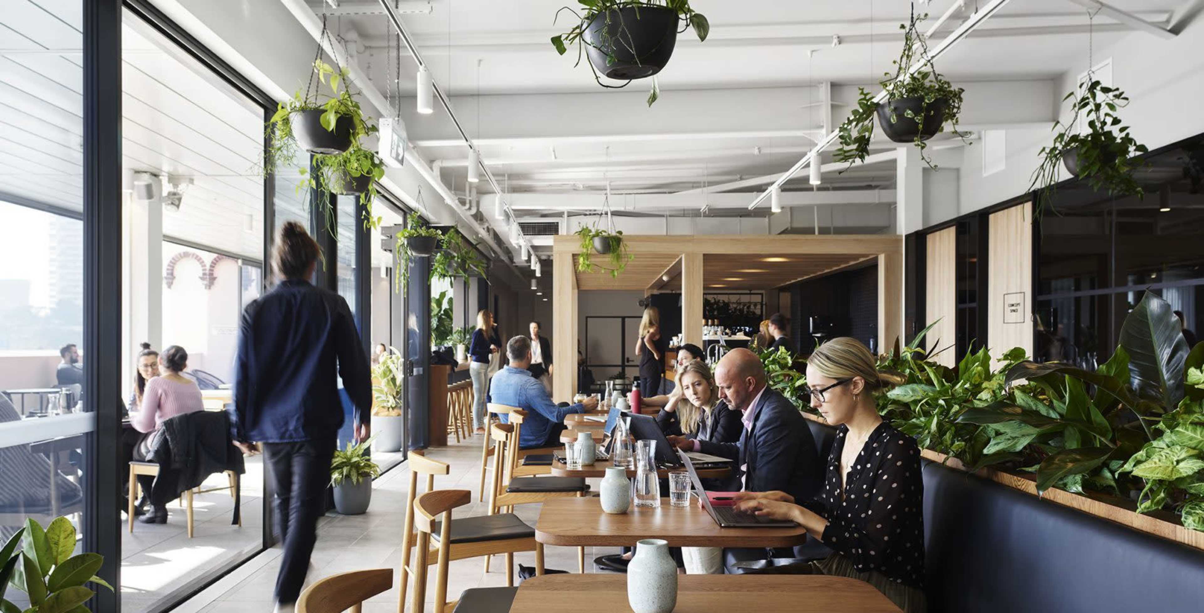 A modern cafe interior features people seated at wooden tables amidst greenery and large windows, with some individuals working on laptops and others engaged in conversation.