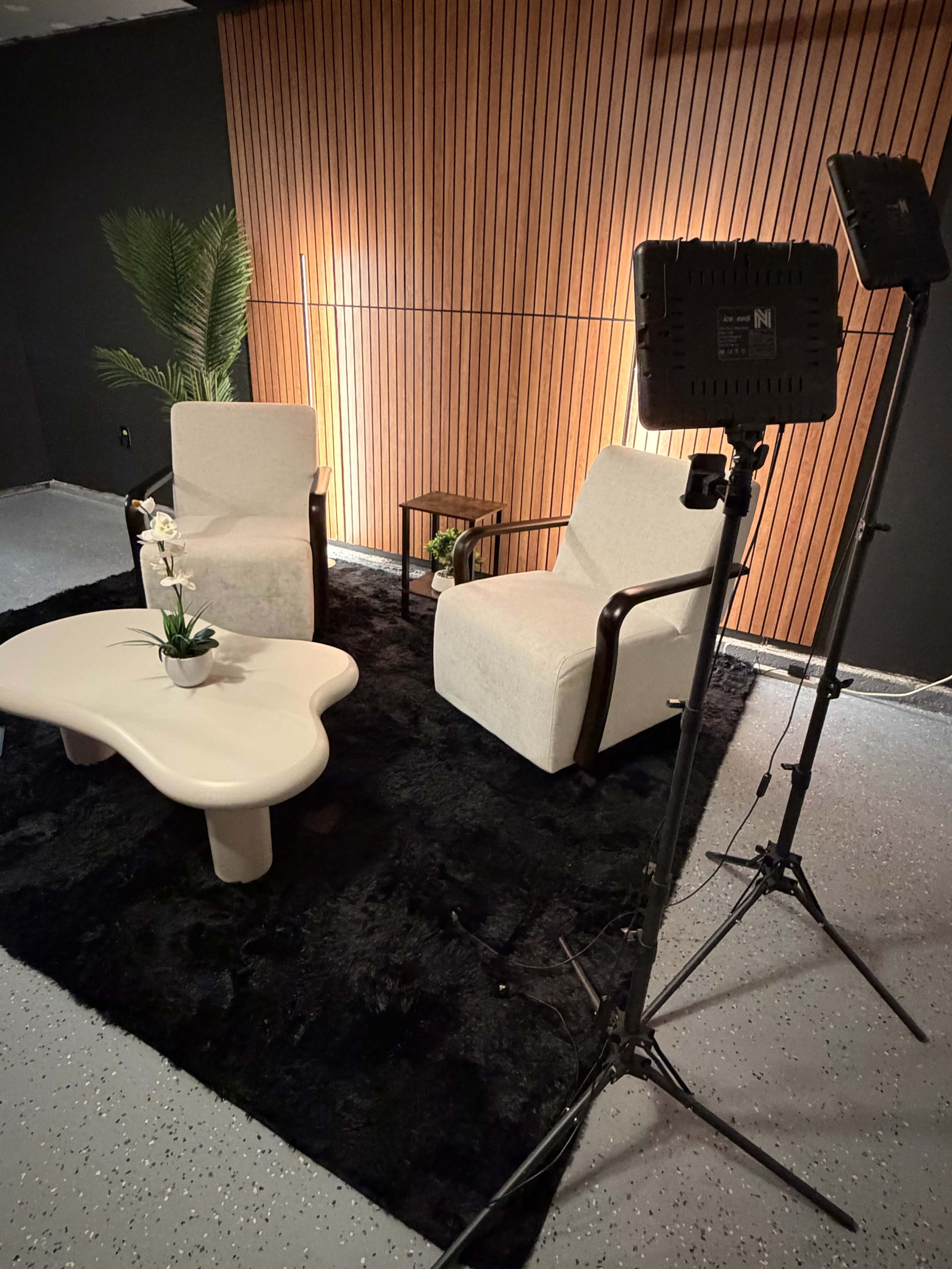 The image shows a small, modern seating area featuring two chairs, a minimalist coffee table, and decorative plants on a dark rug against a wood-paneled wall.