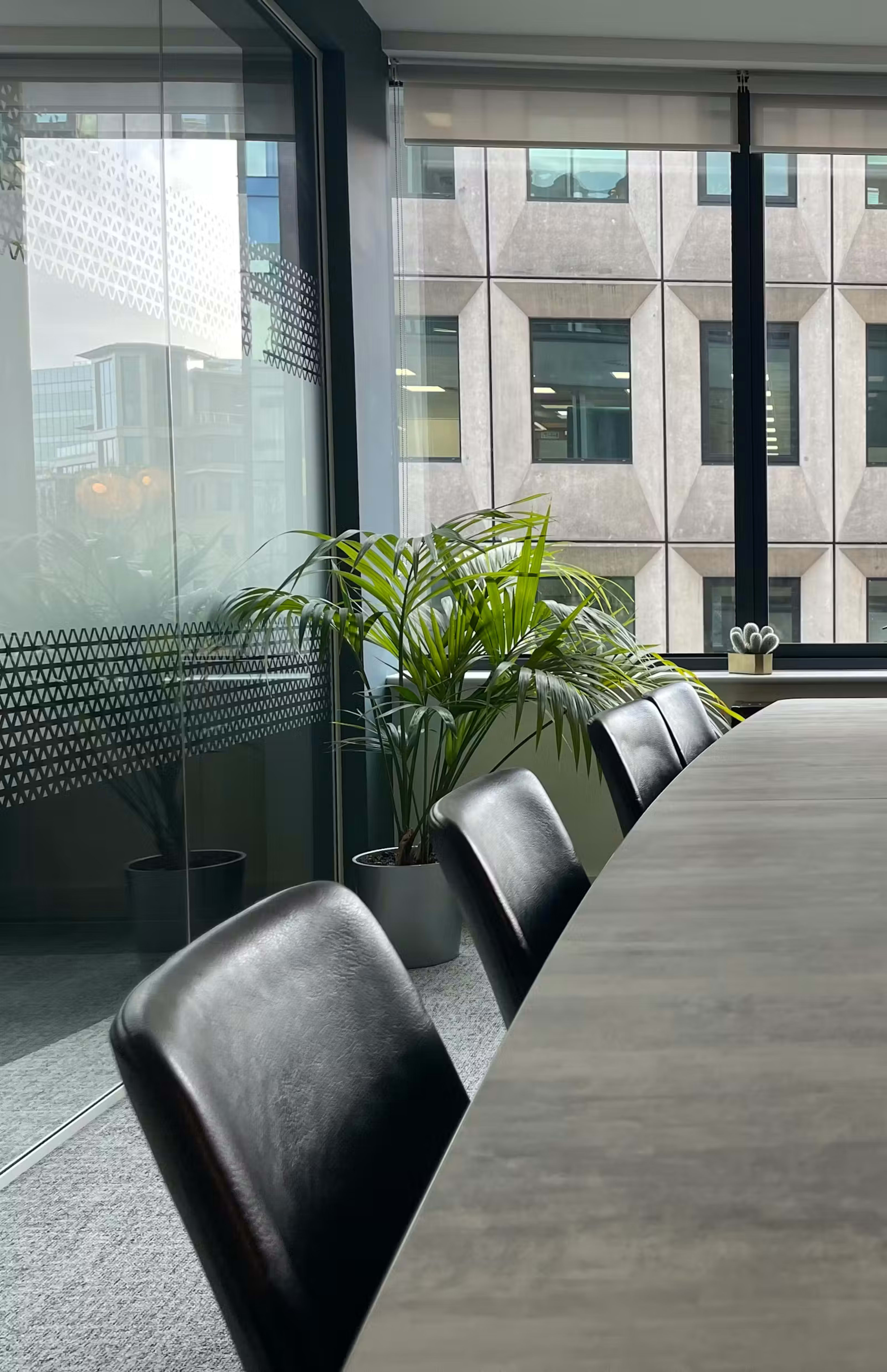 A modern conference room features a long table and several leather chairs, with a large window displaying a view of a building and a potted plant nearby.