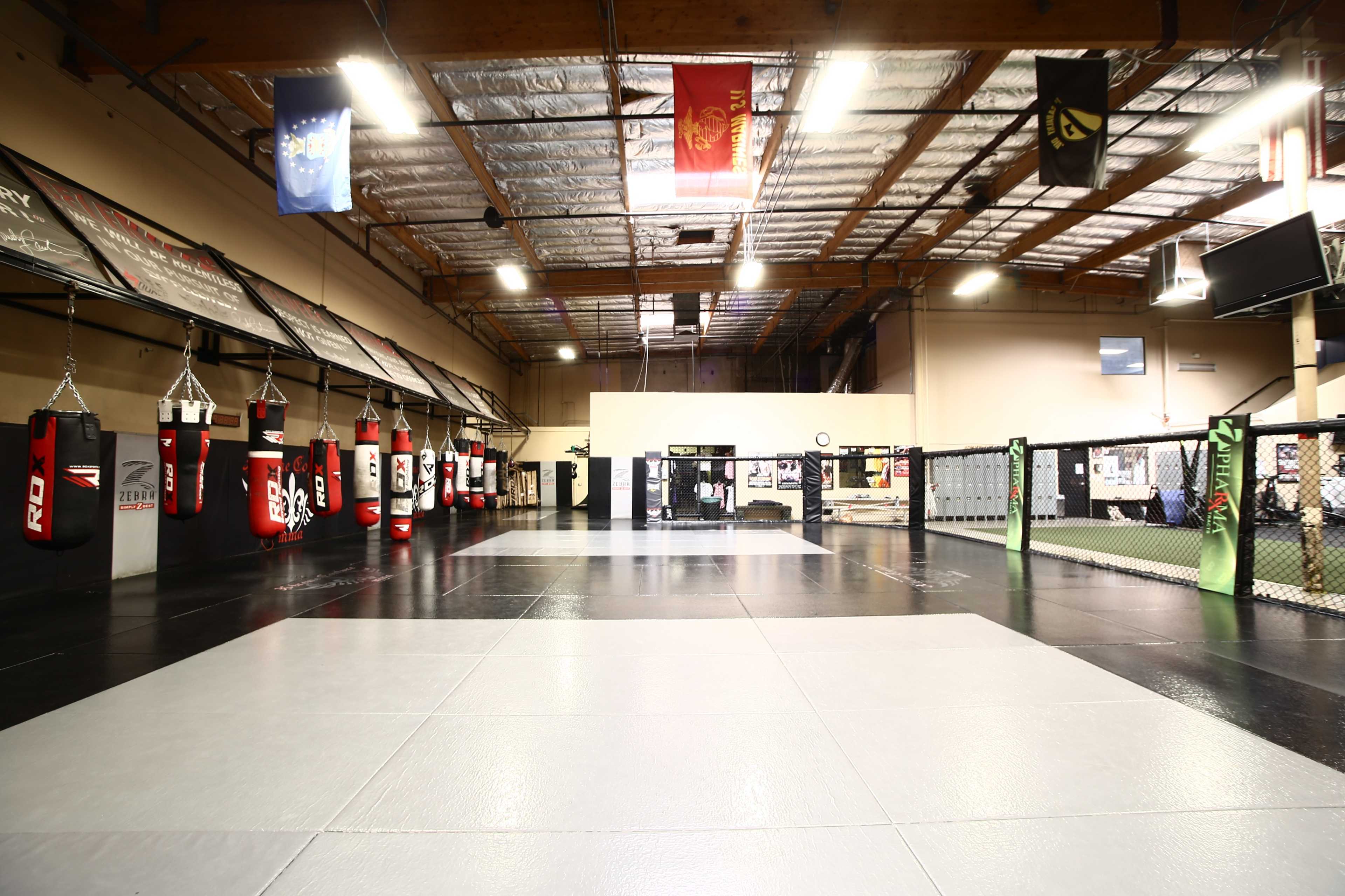 A spacious martial arts training facility with hanging punching bags, a large mat area, and a fenced training cage.