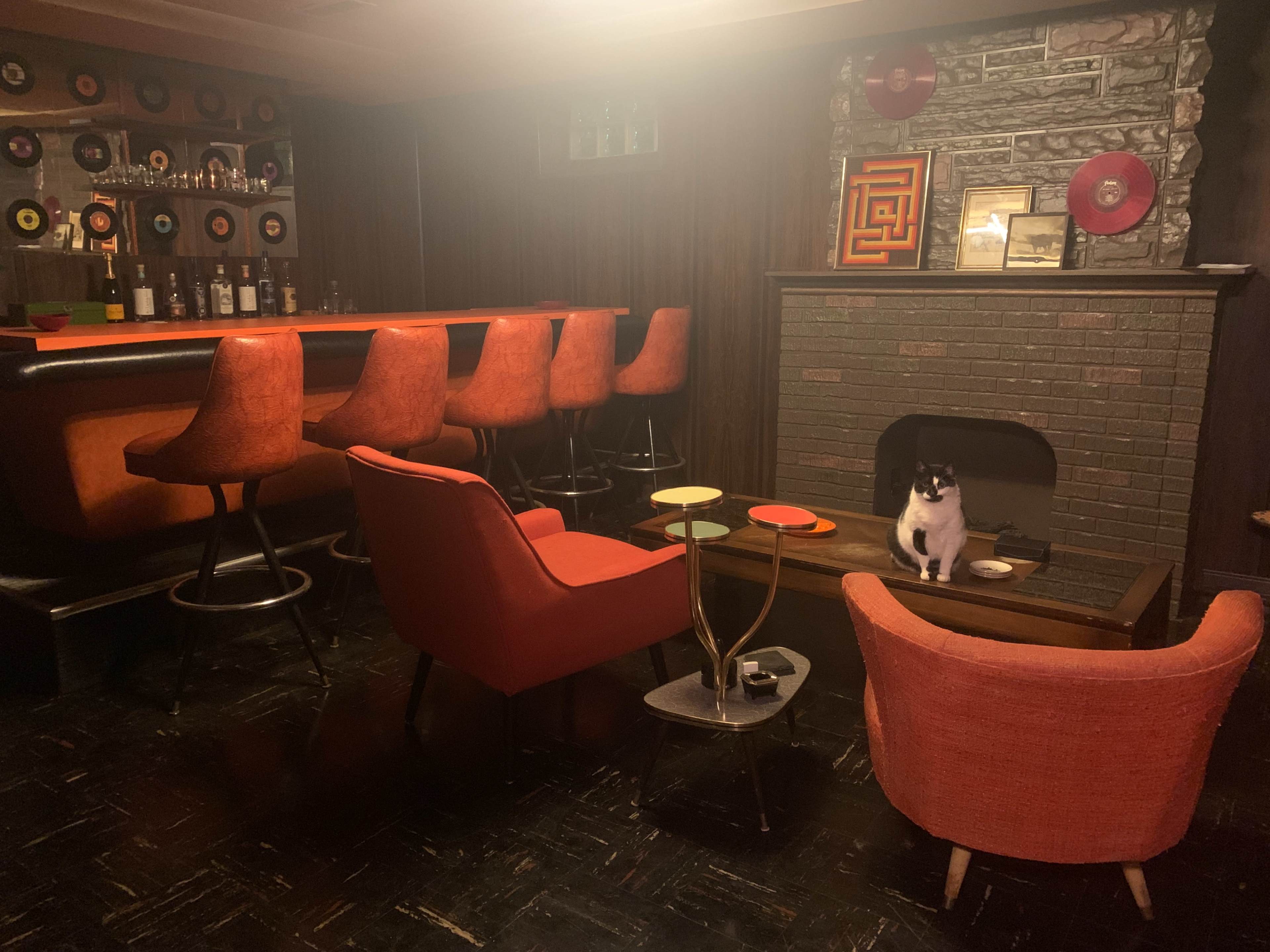 A retro-styled lounge features a bar with orange stools, a fireplace, and a black and white cat sitting on a coffee table.