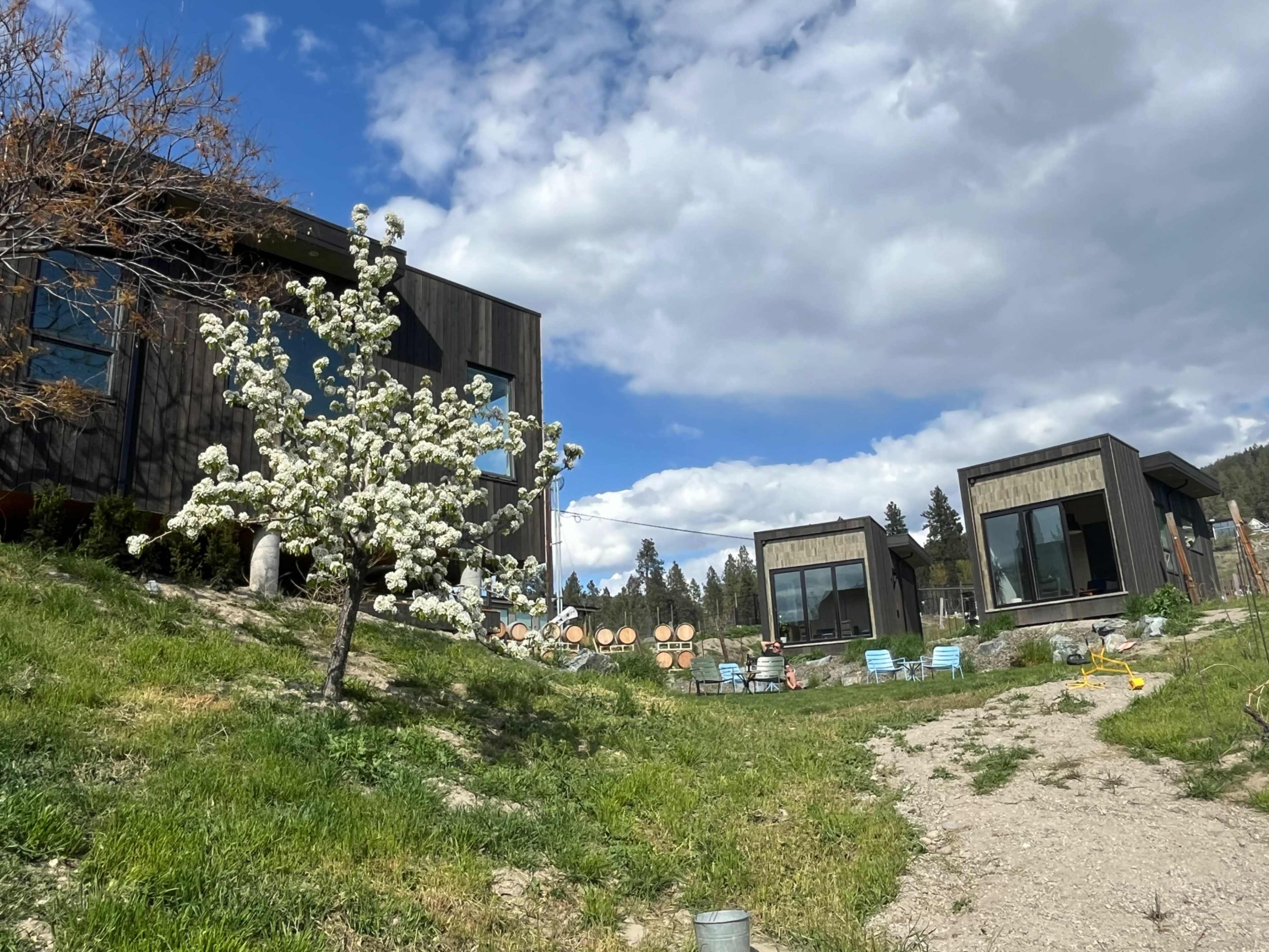 Scandinavian Vineyard Pods | Creative Space in the Okanagan Image in Naramata, Naramata, BC