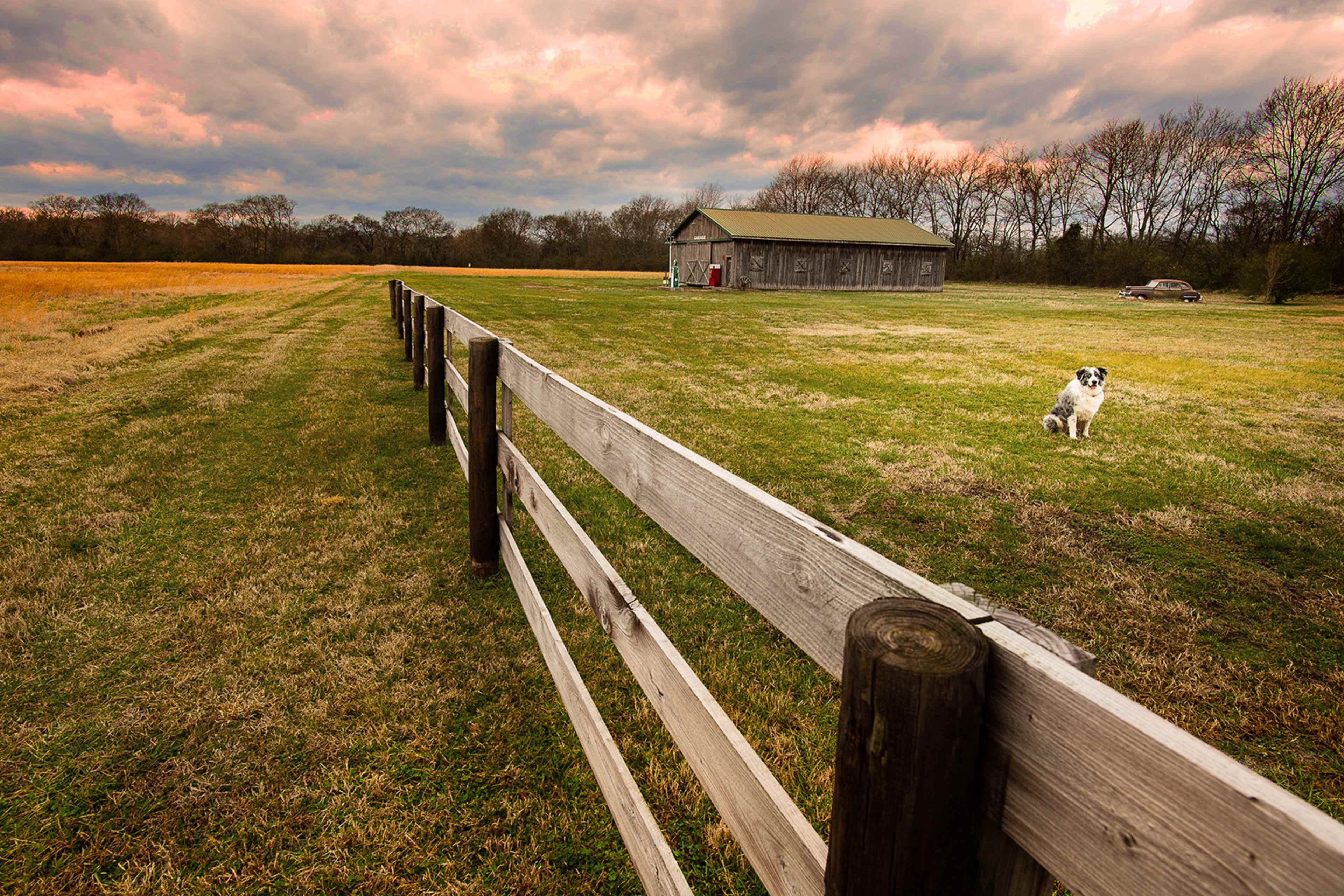 A wooden fence lines a grassy field, leading to a barn in the distance, with a dog sitting nearby.