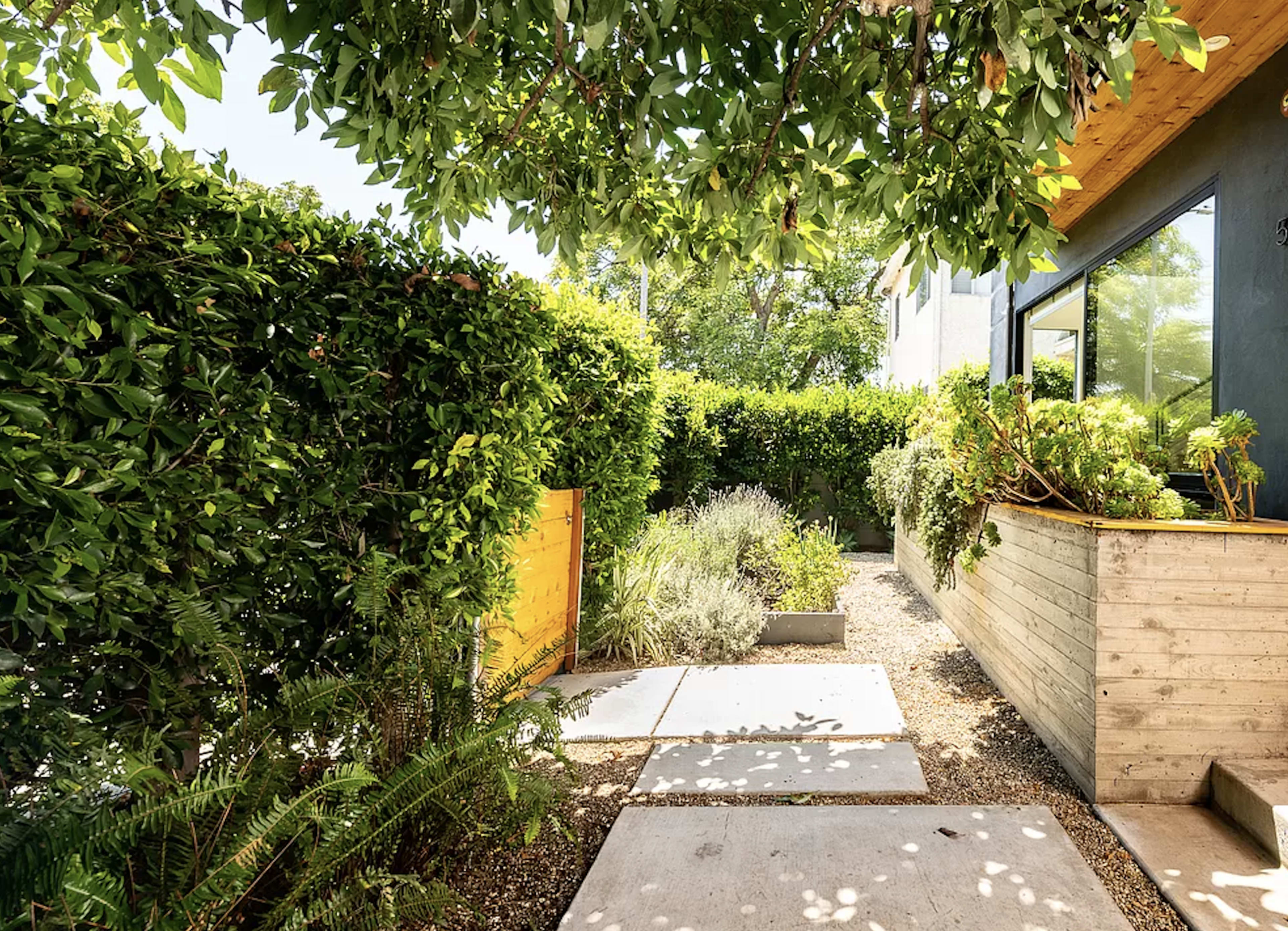 A pathway lined with greenery and planters leads to a modern home obscured by hedges and trees.