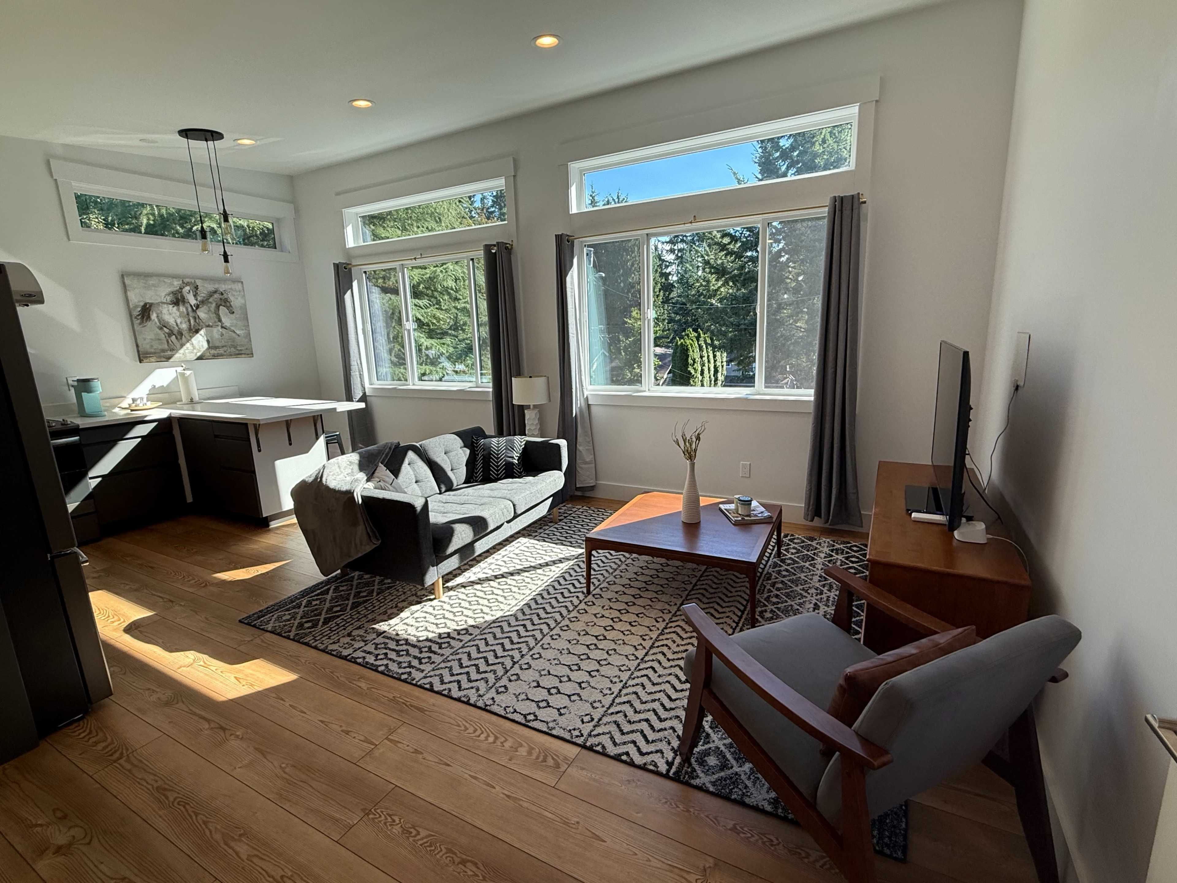 The image shows a bright, modern living area with large windows, a comfortable sofa, a rug on wooden flooring, and a television on a small table.
