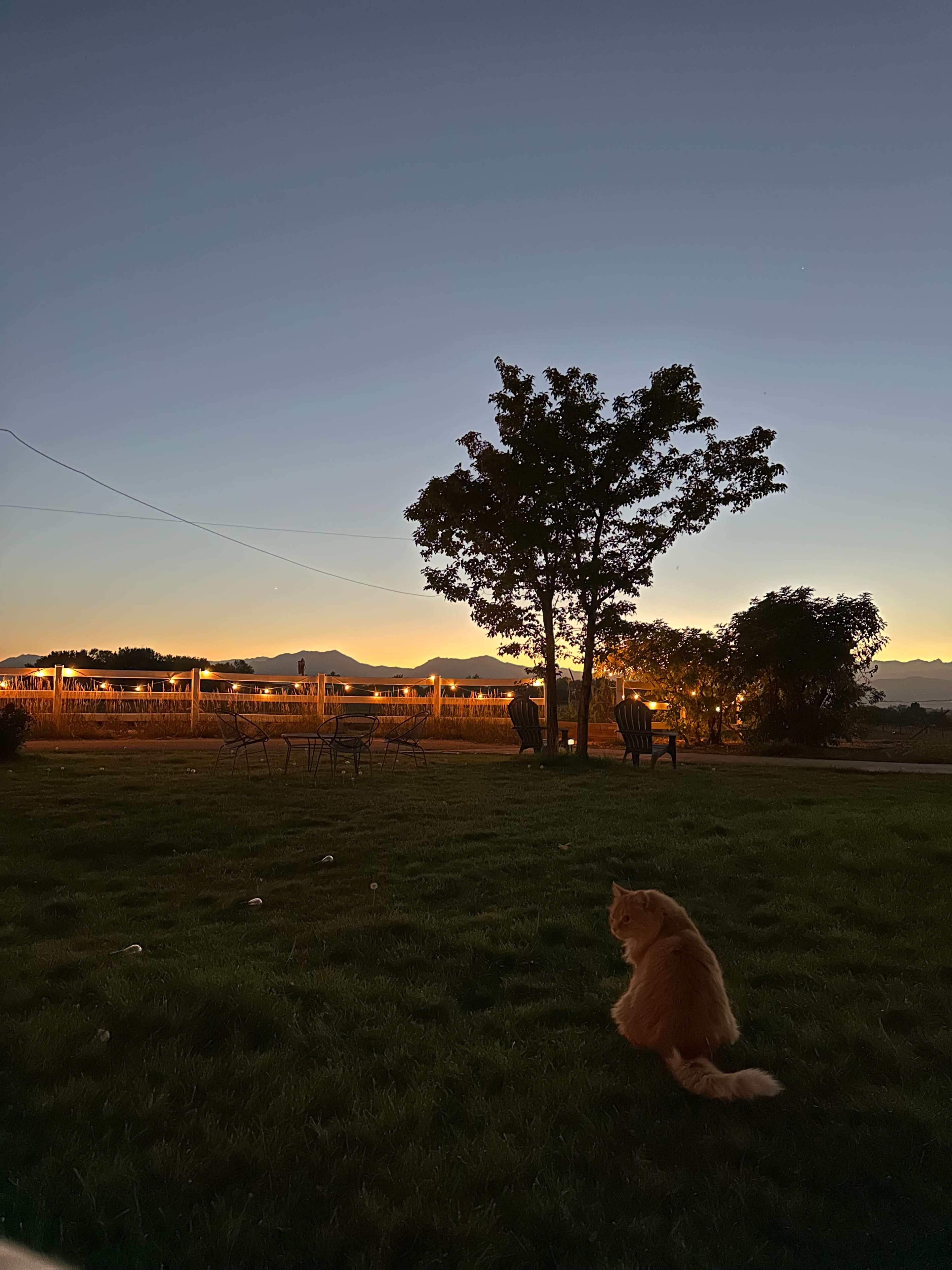 Antebellum Farmhouse with 180-Degree Rocky Mountain Views Image in , Boulder, CO