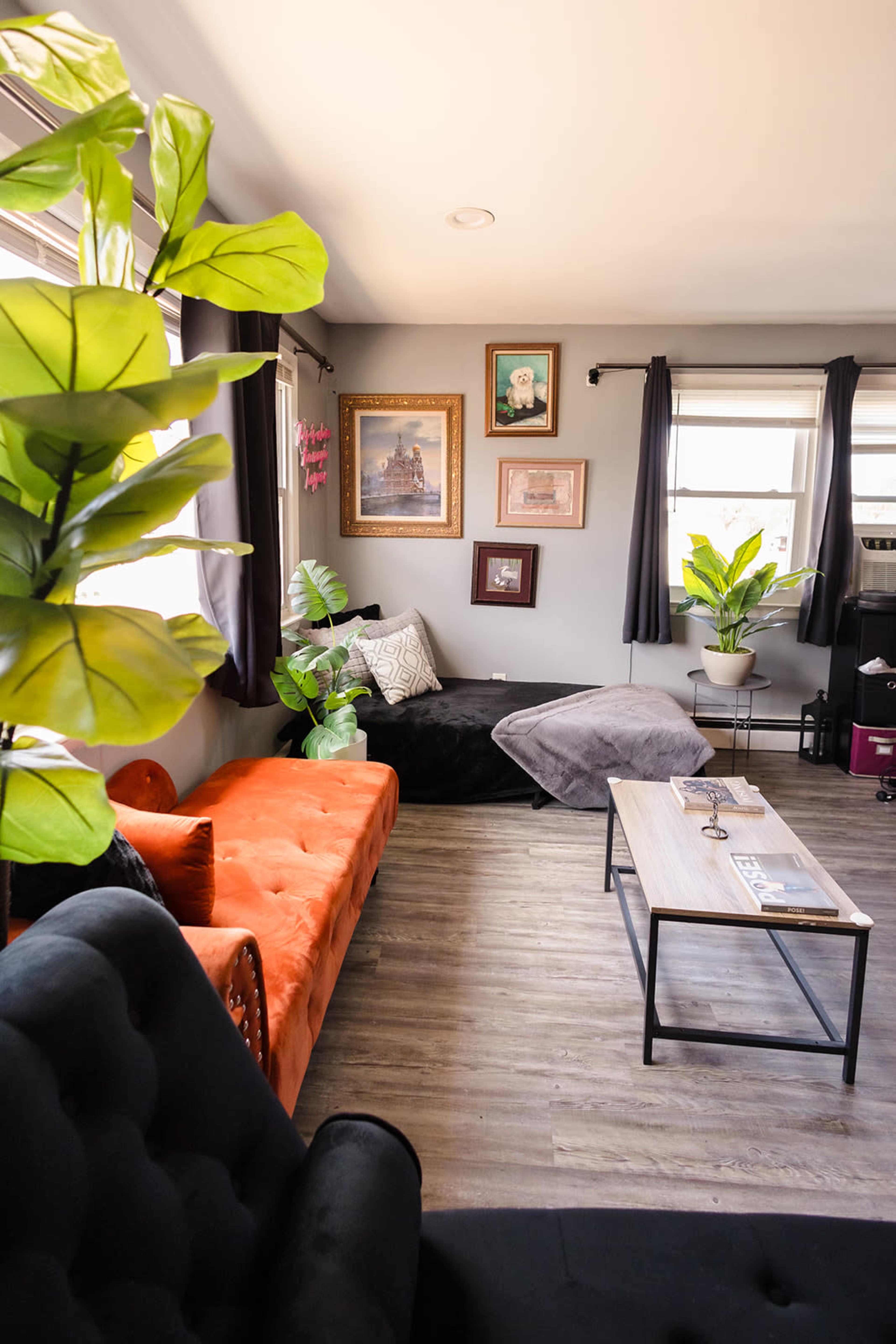 A cozy living room with a black sofa, an orange couch, a coffee table, and various plants, along with framed artwork on the walls.