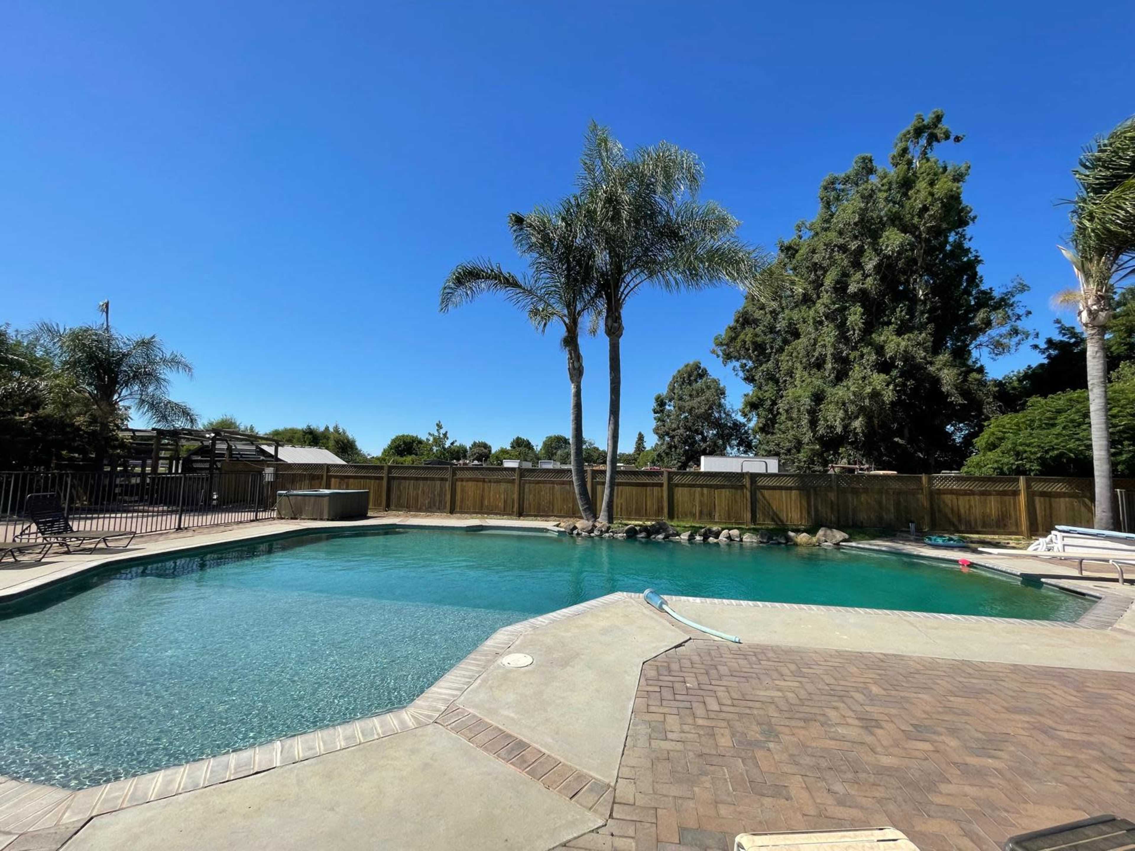 A backyard swimming pool surrounded by palm trees and a wooden fence.