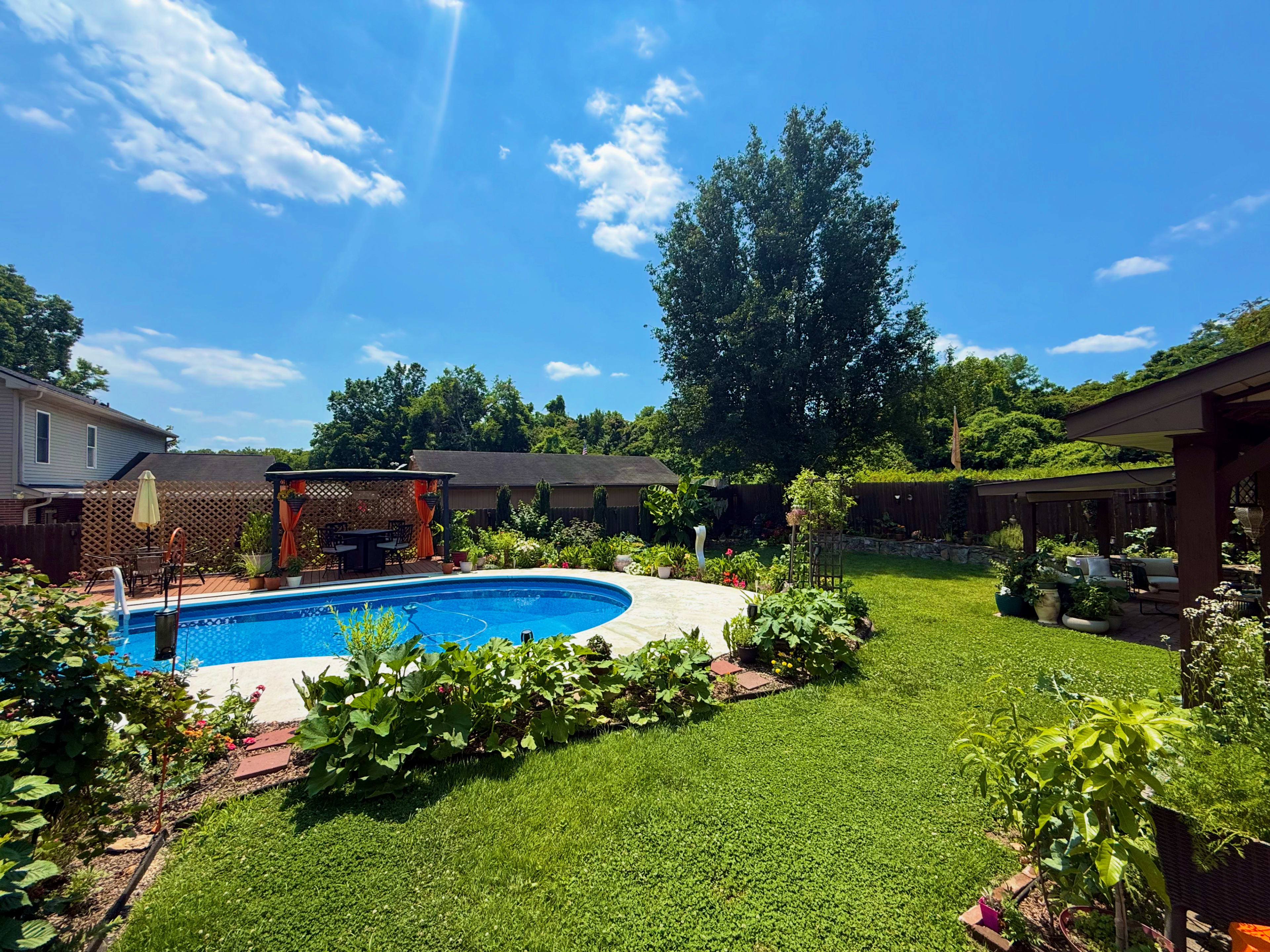 The image shows a backyard with a round swimming pool surrounded by lush greenery and a variety of plants, under a bright blue sky.