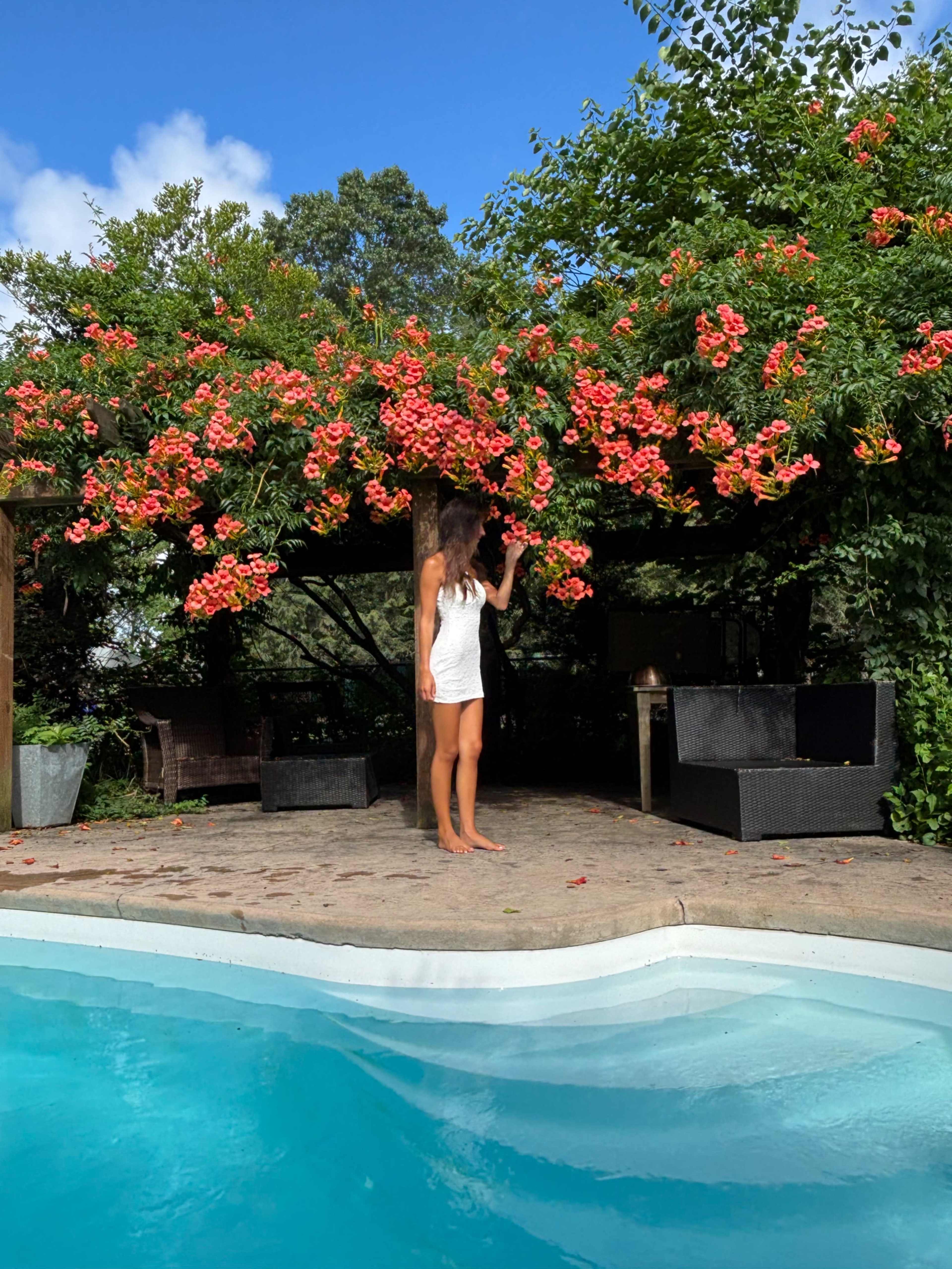 A woman in a white dress stands near a pool, surrounded by lush greenery and vibrant flowers overhead.