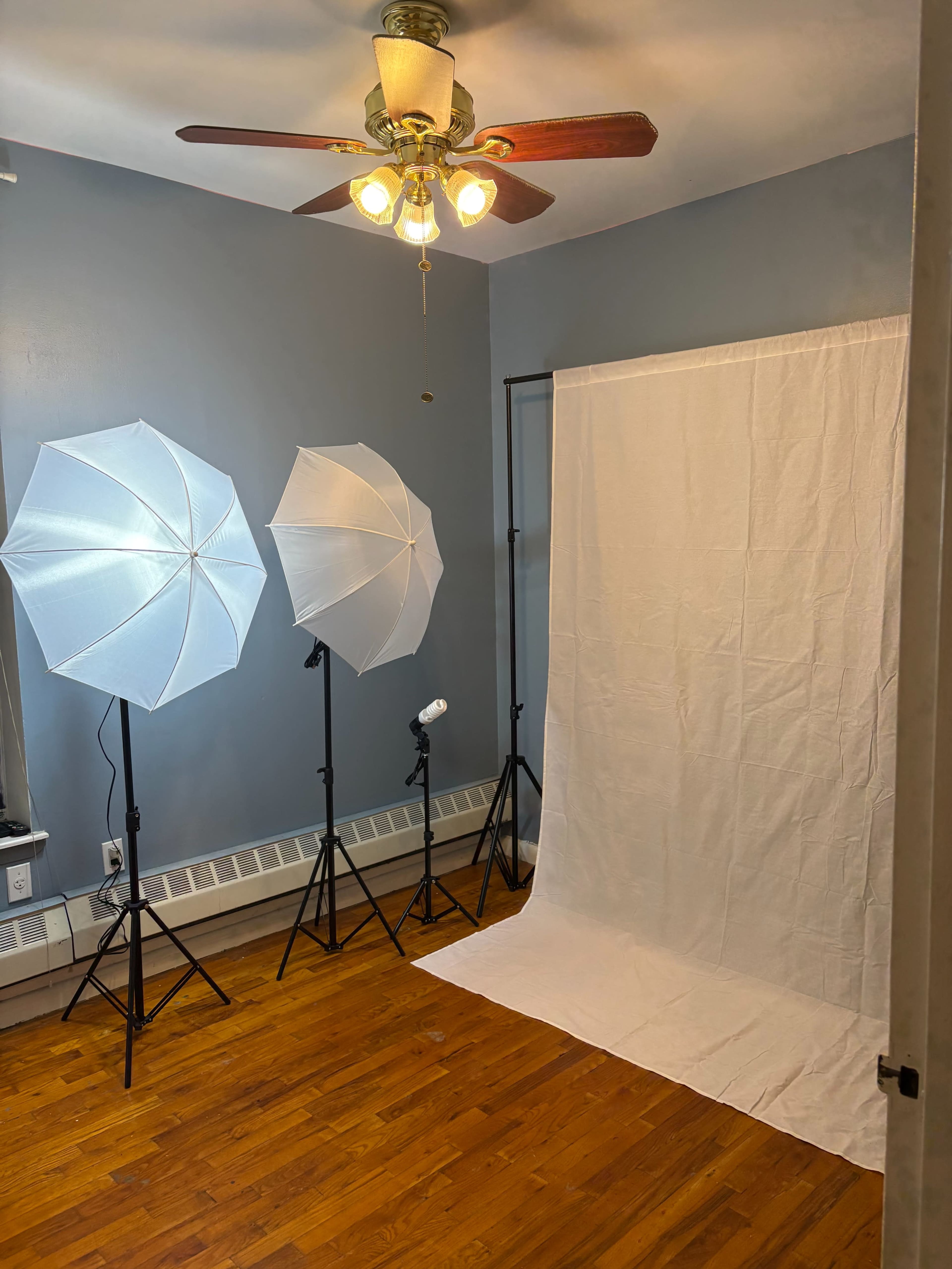 The image shows a small studio setup featuring two softbox lights, a backdrop, and a hardwood floor.