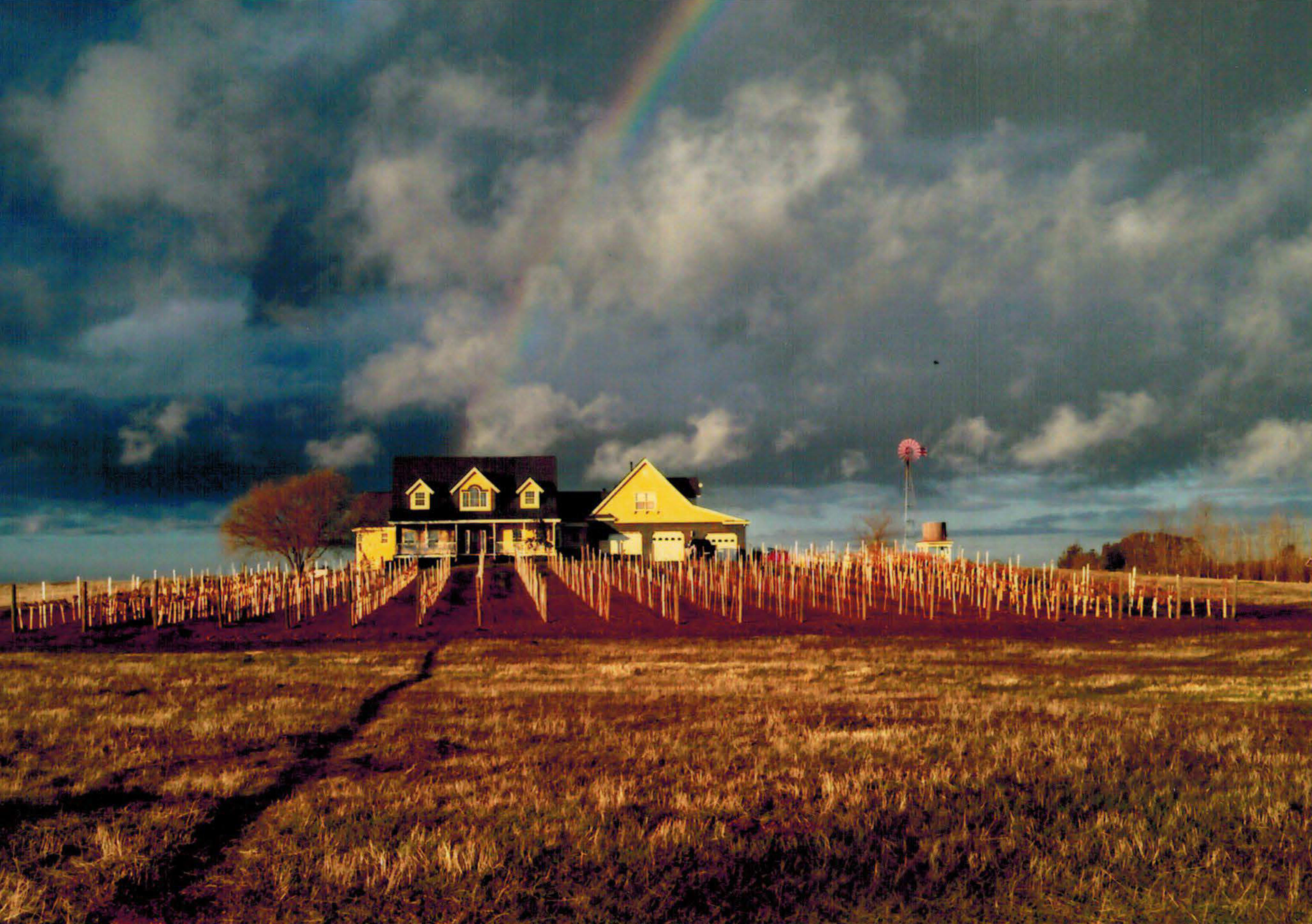 A two-story house with a porch stands on a hill surrounded by a vineyard and a windmill in the background under a partly cloudy sky with a rainbow.
