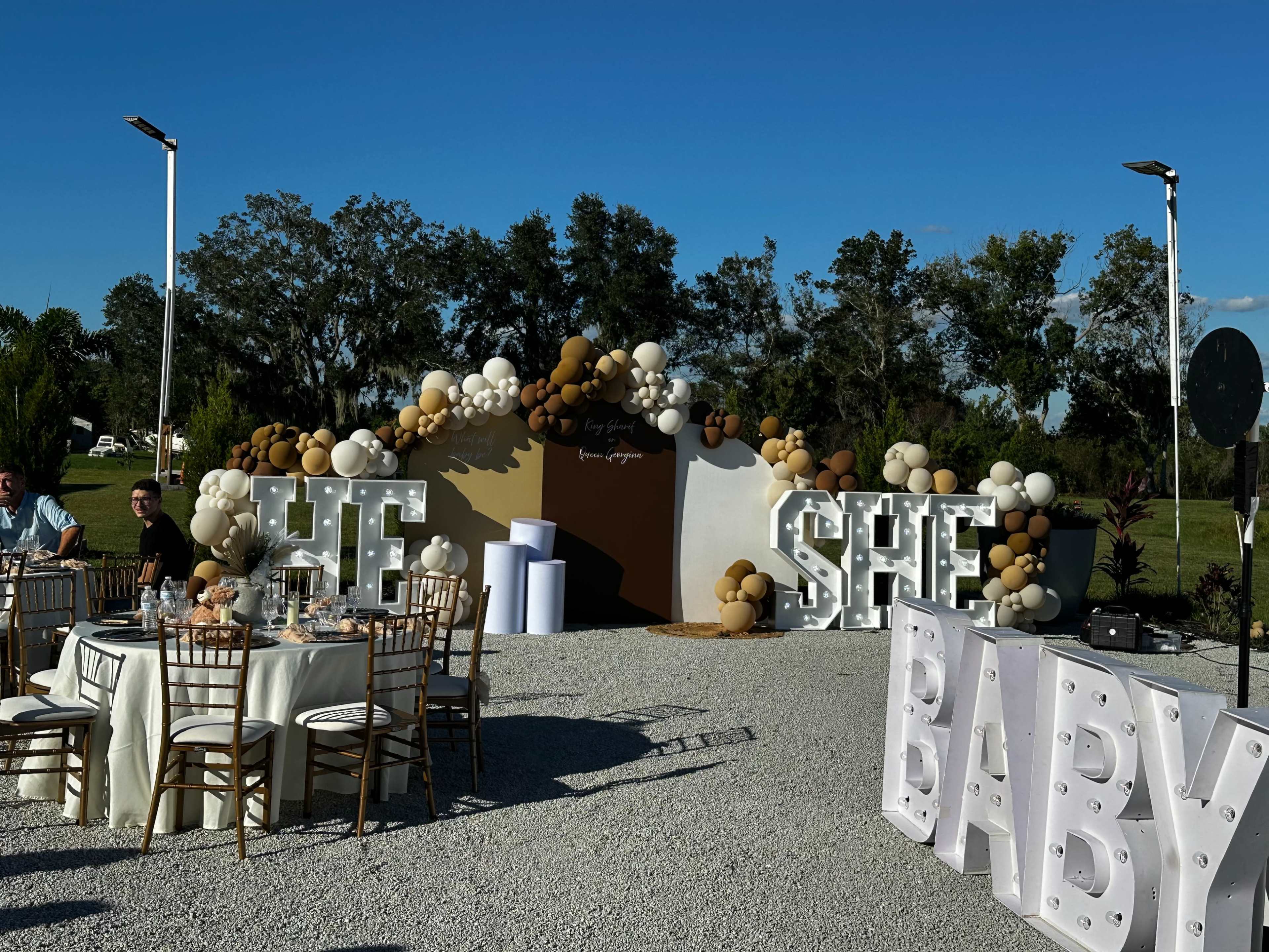 The scene features a decorated outdoor space for a gender reveal party, with large letters spelling "HE" and "SHE" amidst a backdrop of balloons and table settings.