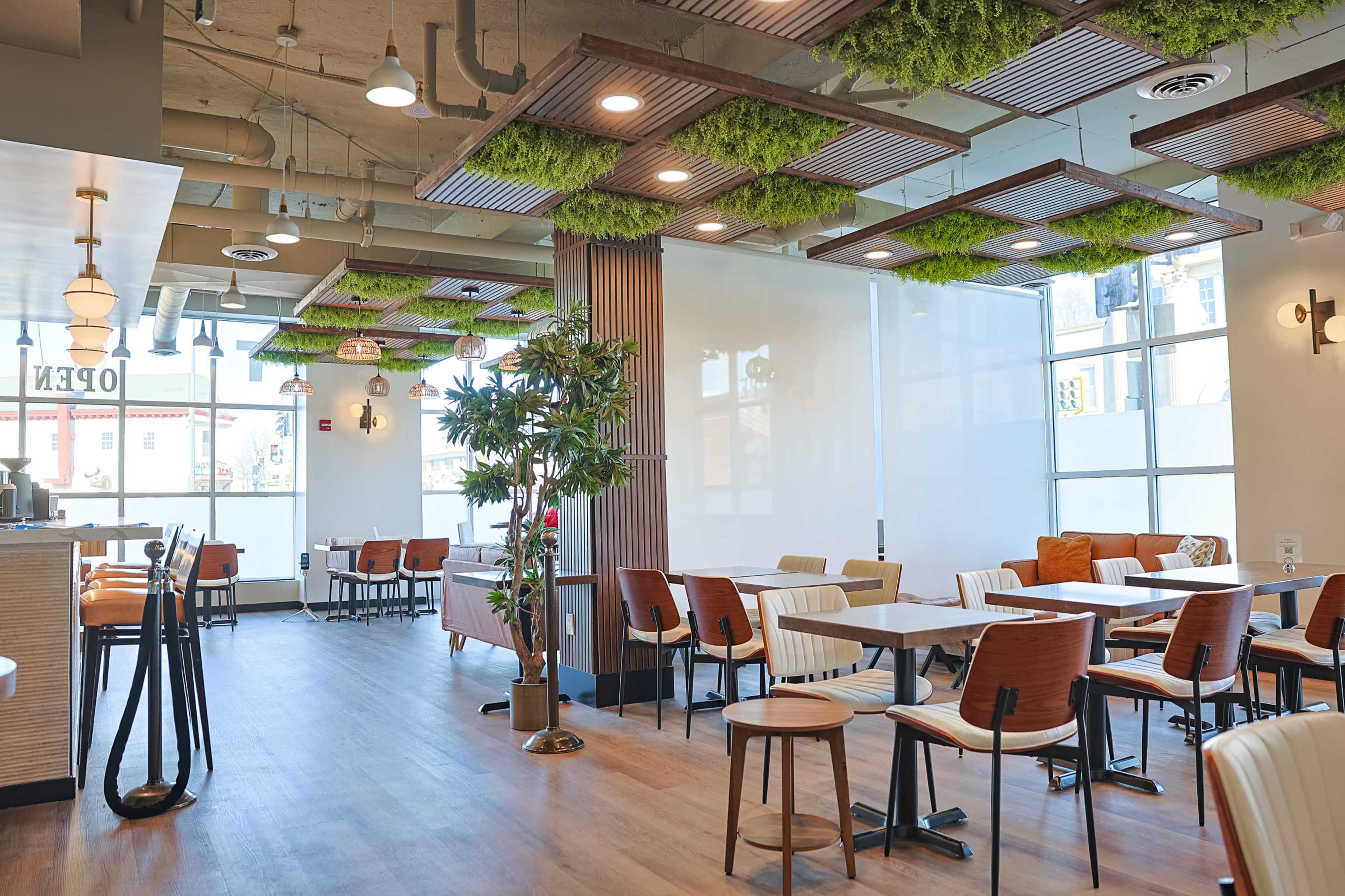The image shows a modern interior of a café with wooden tables, striped chairs, and green plants hanging from the ceiling.