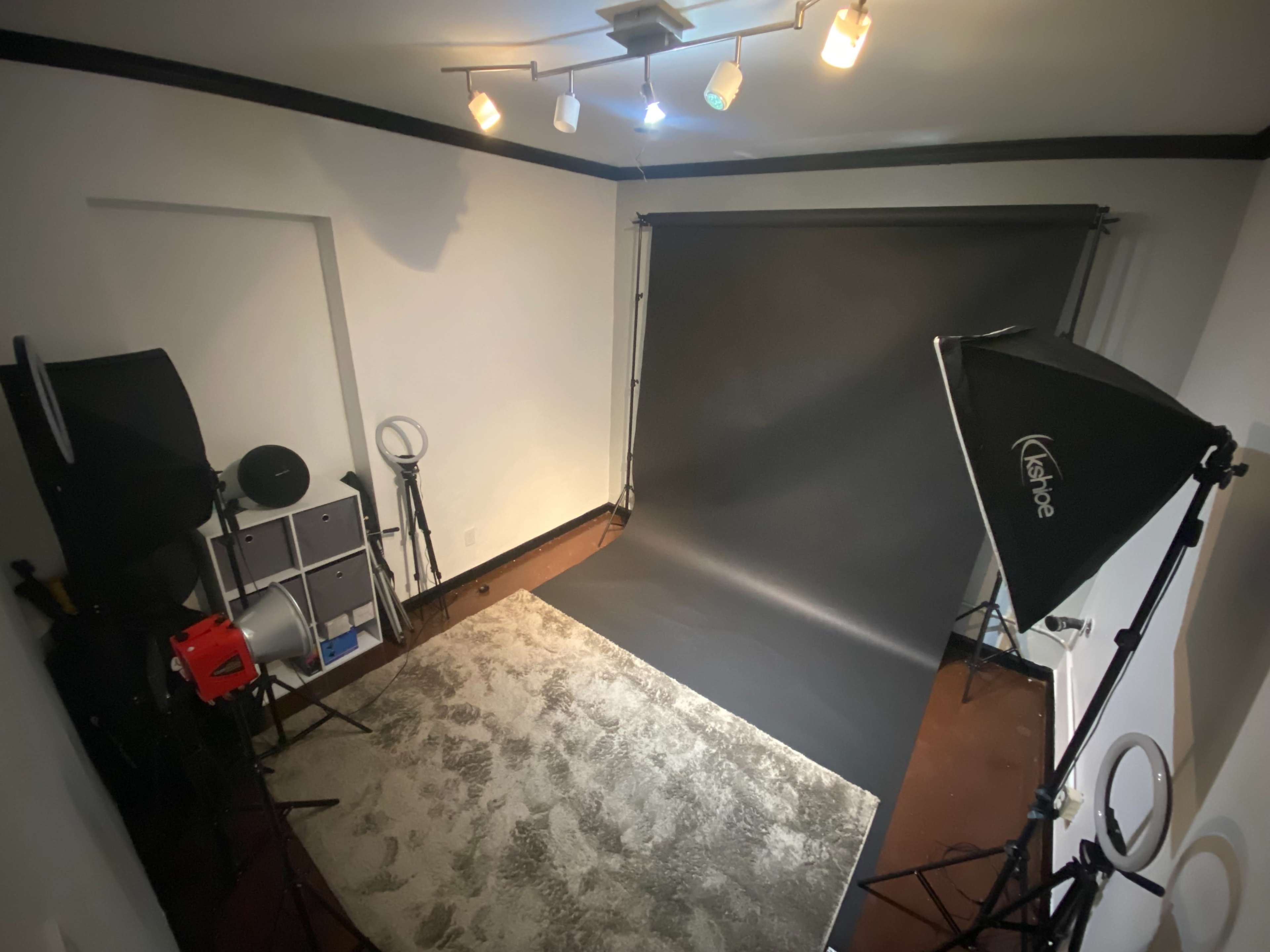 A photography studio with a dark backdrop, lighting equipment, and a carpeted area.