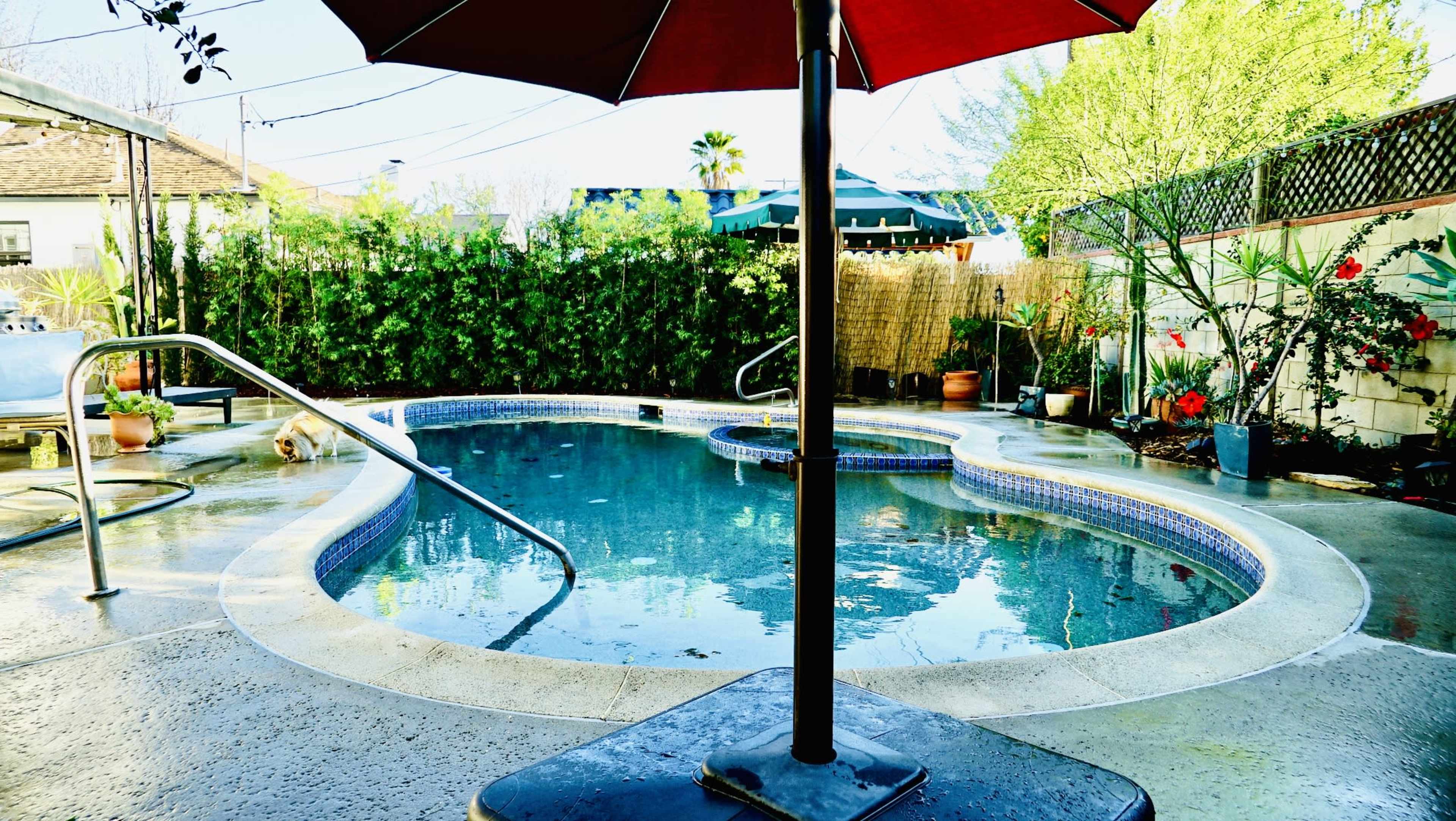 The image shows a sunny backyard with a swimming pool partially shaded by a red umbrella, surrounded by lush greenery and potted plants.
