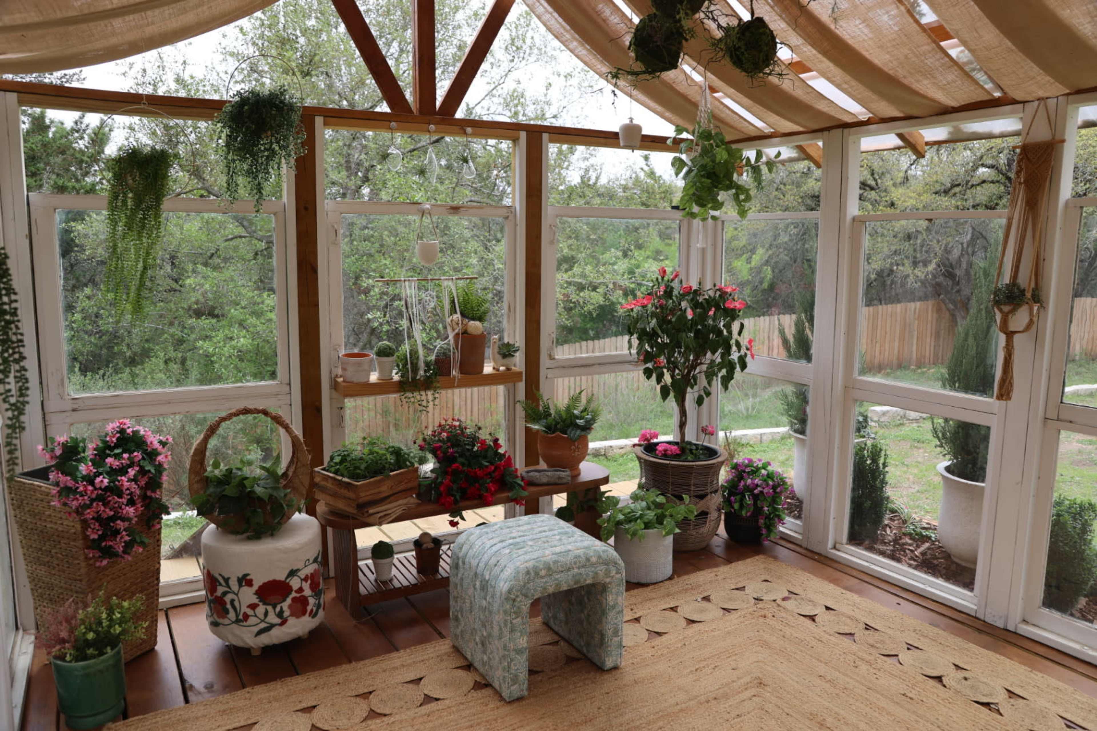 The image shows a bright indoor greenhouse filled with various potted plants, a small stool, and a woven rug.