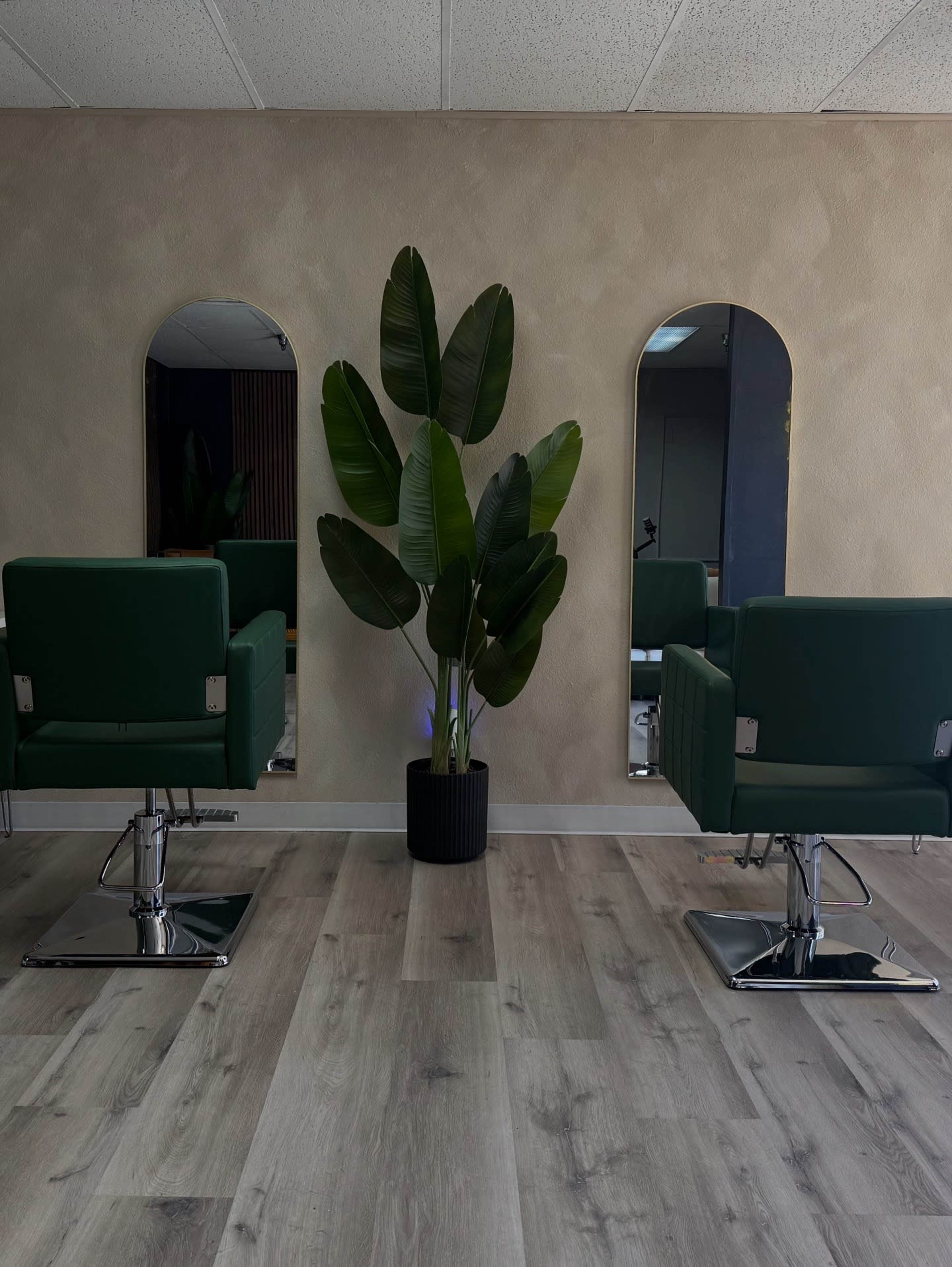 The image shows a hair salon with two green salon chairs, a large potted plant, and two mirrors mounted on the wall.