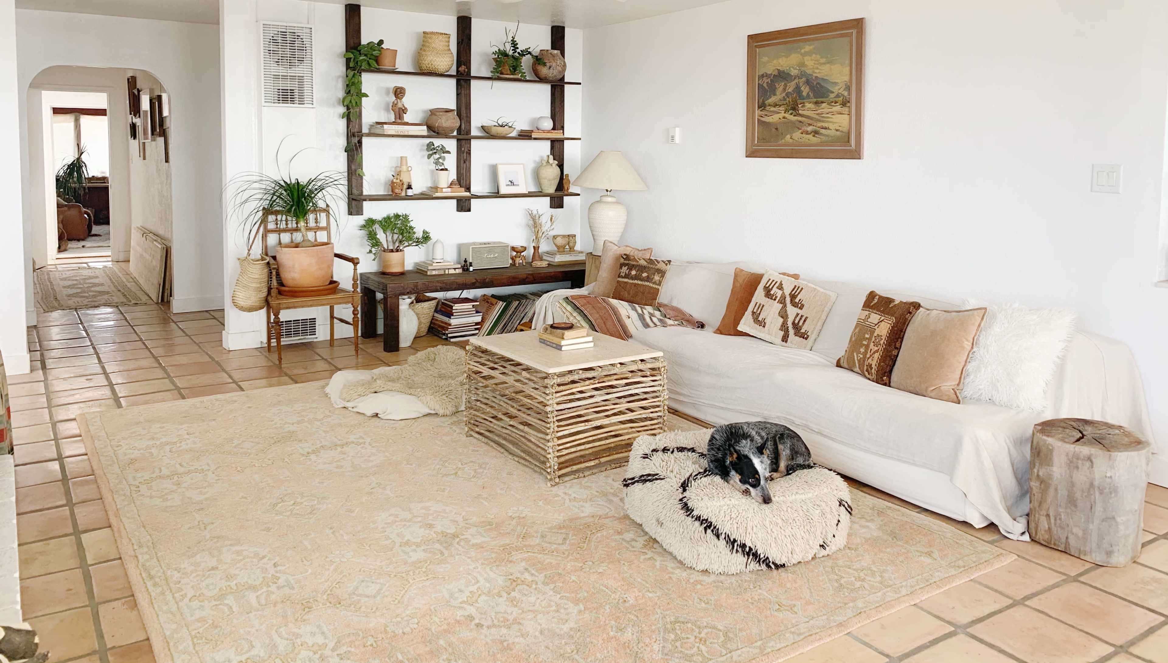 The room features a light-colored sofa, a rustic wooden coffee table, and shelves displaying decorative items, with a dog resting on a round, textured bed.