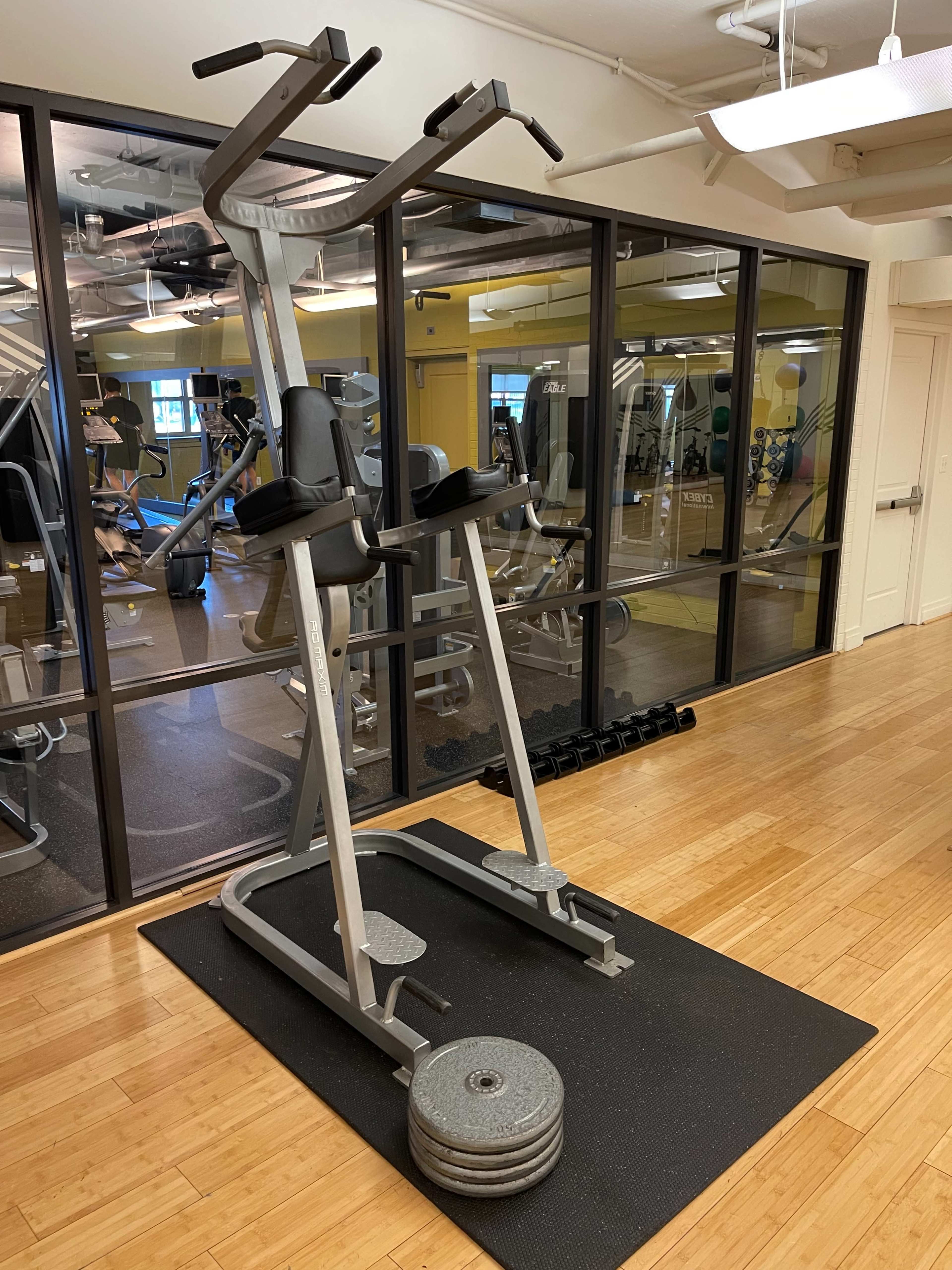 A pull-up and dip station is positioned on a mat in a gym, surrounded by exercise equipment and large windows reflecting the interior.