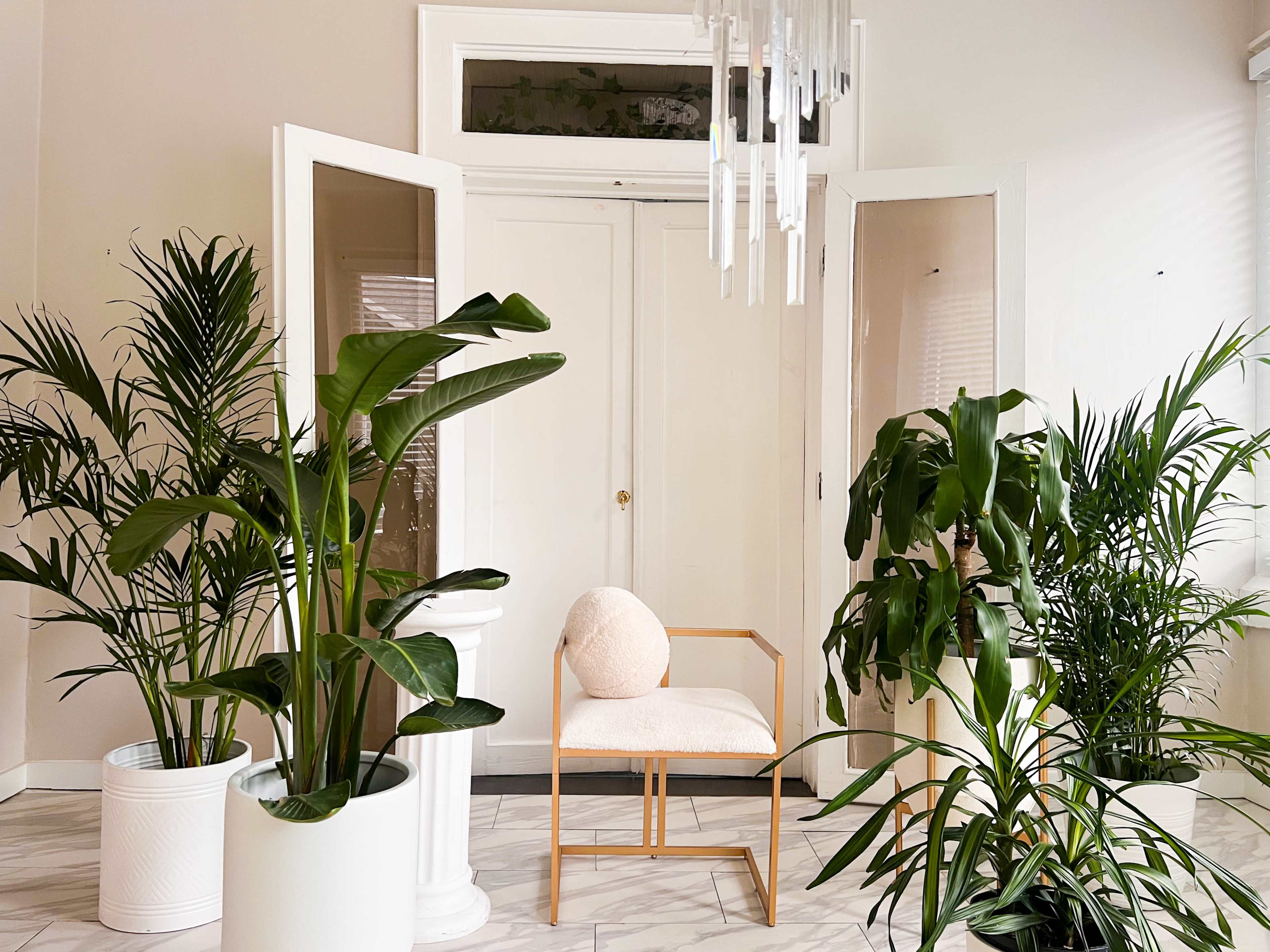 The image shows a bright interior space featuring two white doors at the back, surrounded by various indoor plants and a chair with a round cushion.