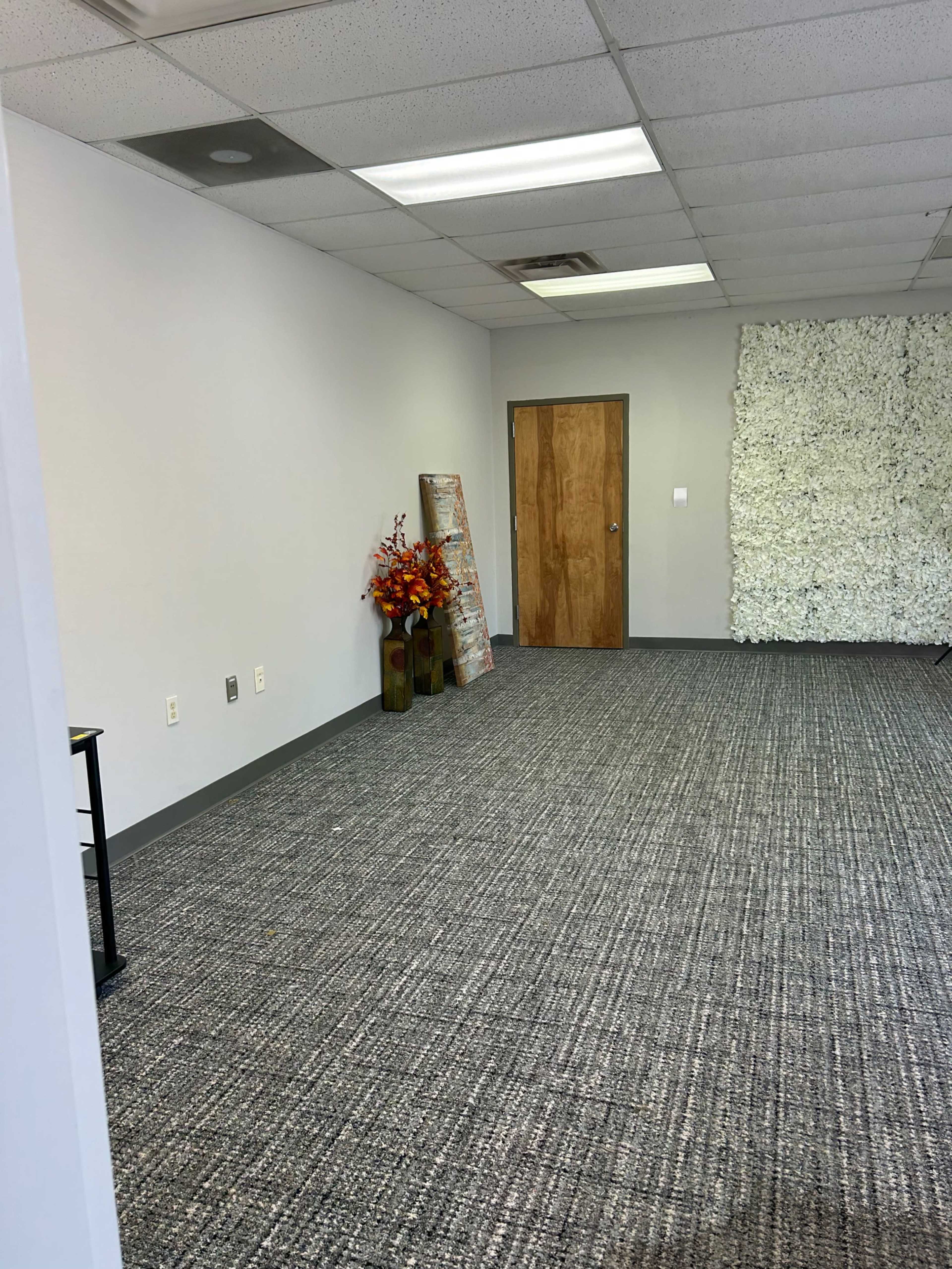 The image shows an empty room with gray walls, carpeted flooring, a wooden door, and a decorative white wall feature, alongside a small arrangement of potted plants and a ladder against the wall.
