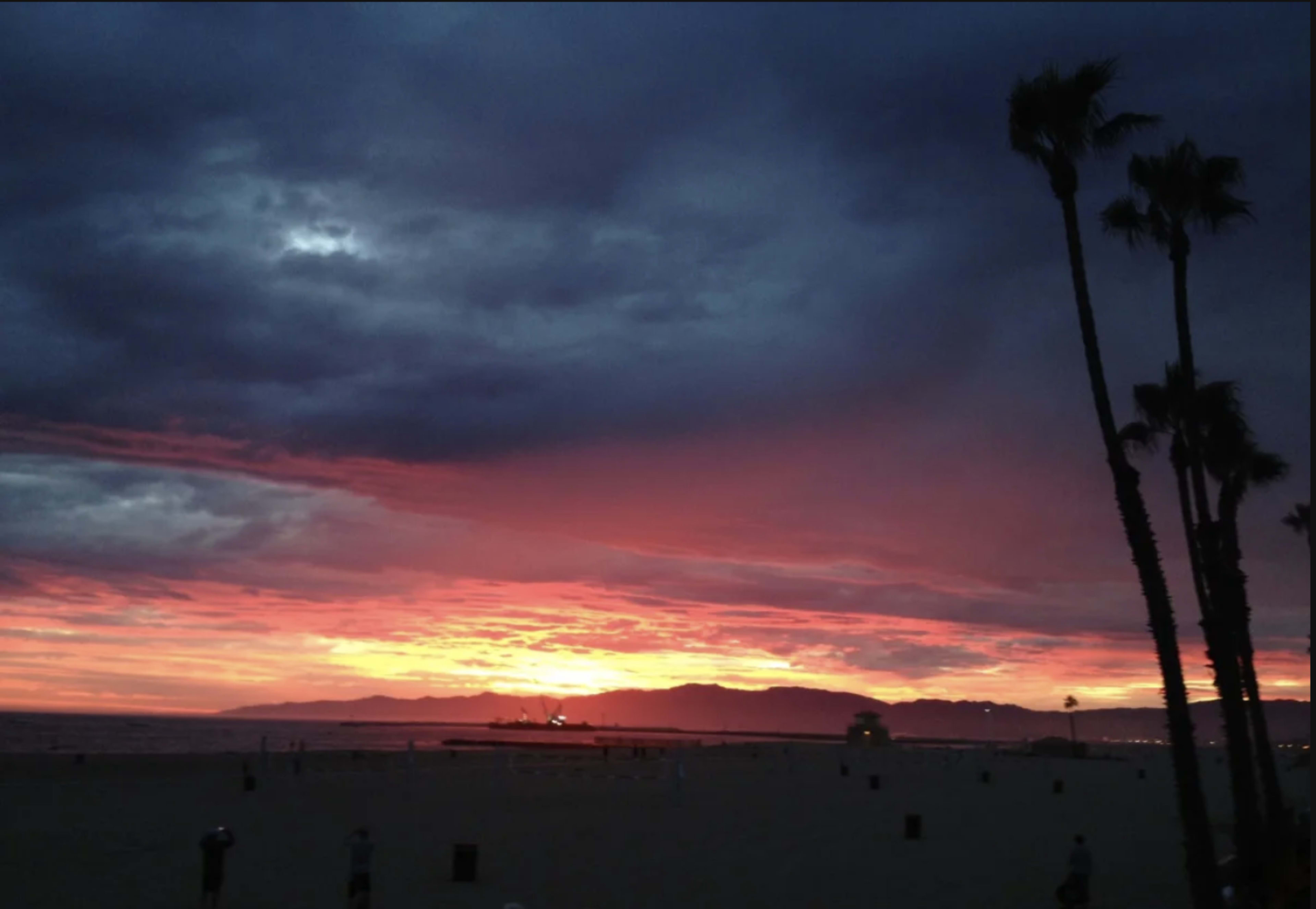 A sunset over the ocean with dark clouds and silhouettes of palm trees in the foreground.