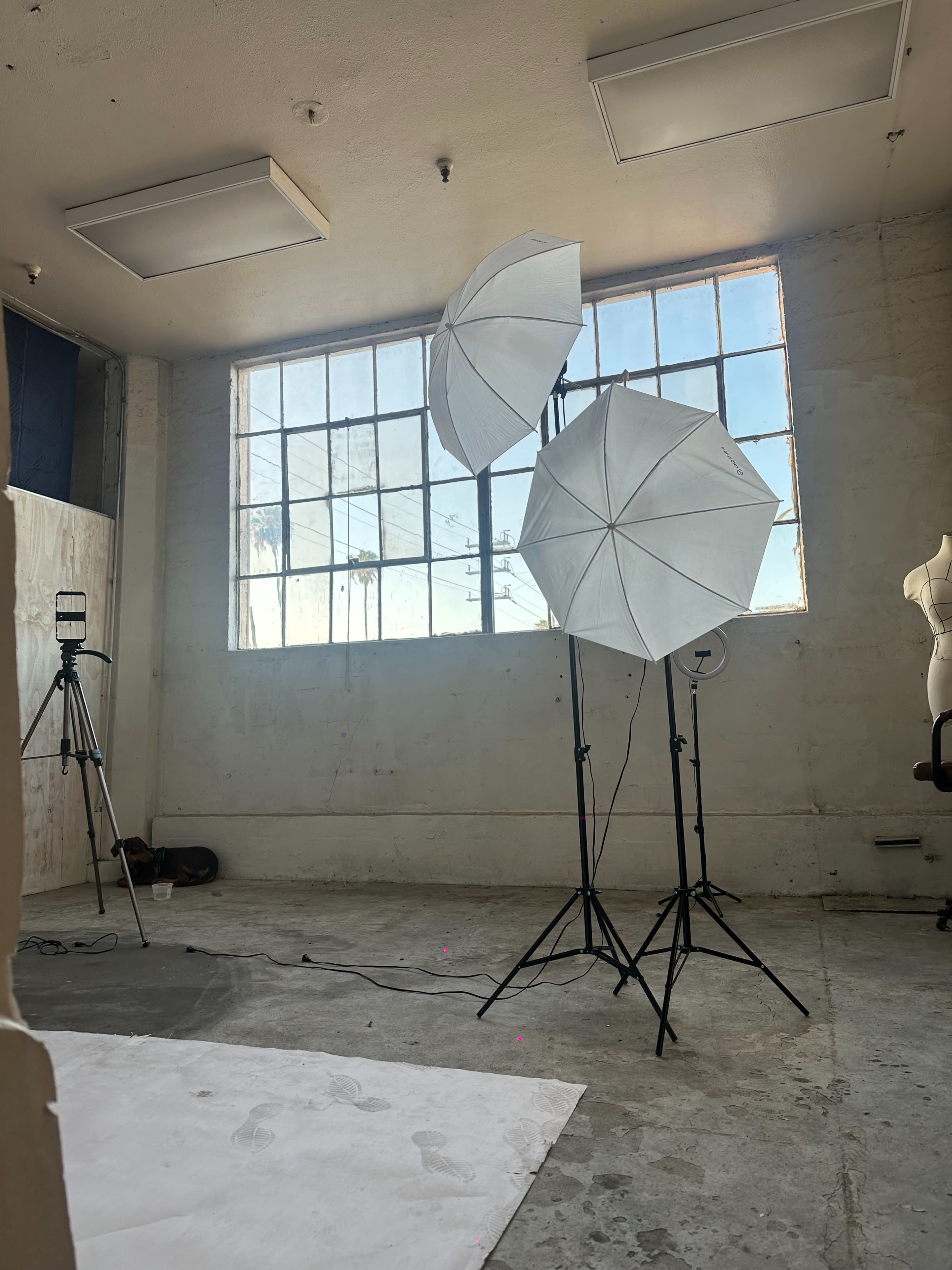 The image depicts a photography studio with two white umbrella lights set up near large windows, alongside a camera on a tripod and a mannequin in the background.