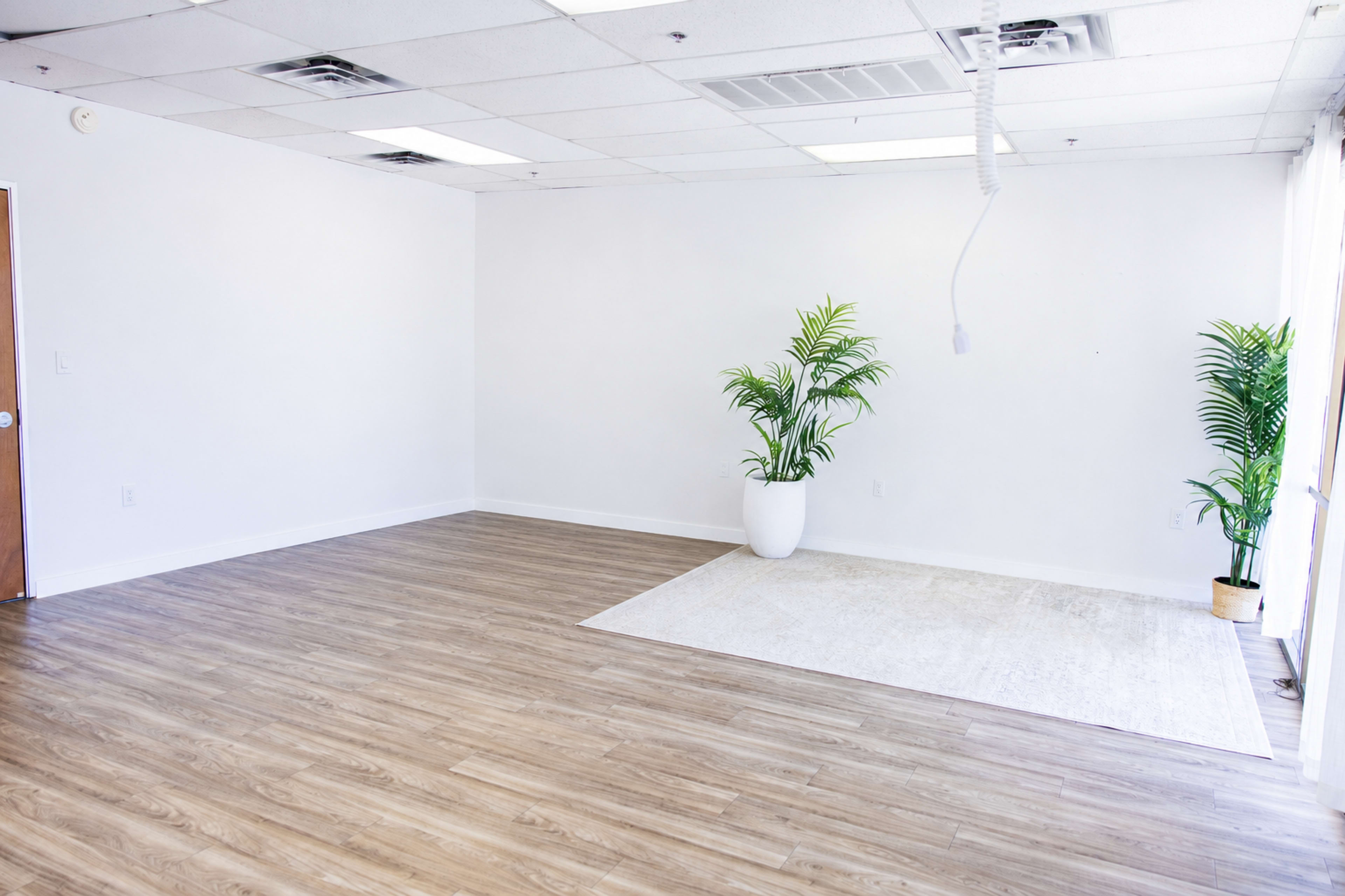 The image shows a minimalist room with wood-style flooring, a light-colored area rug, and two potted plants near the window.
