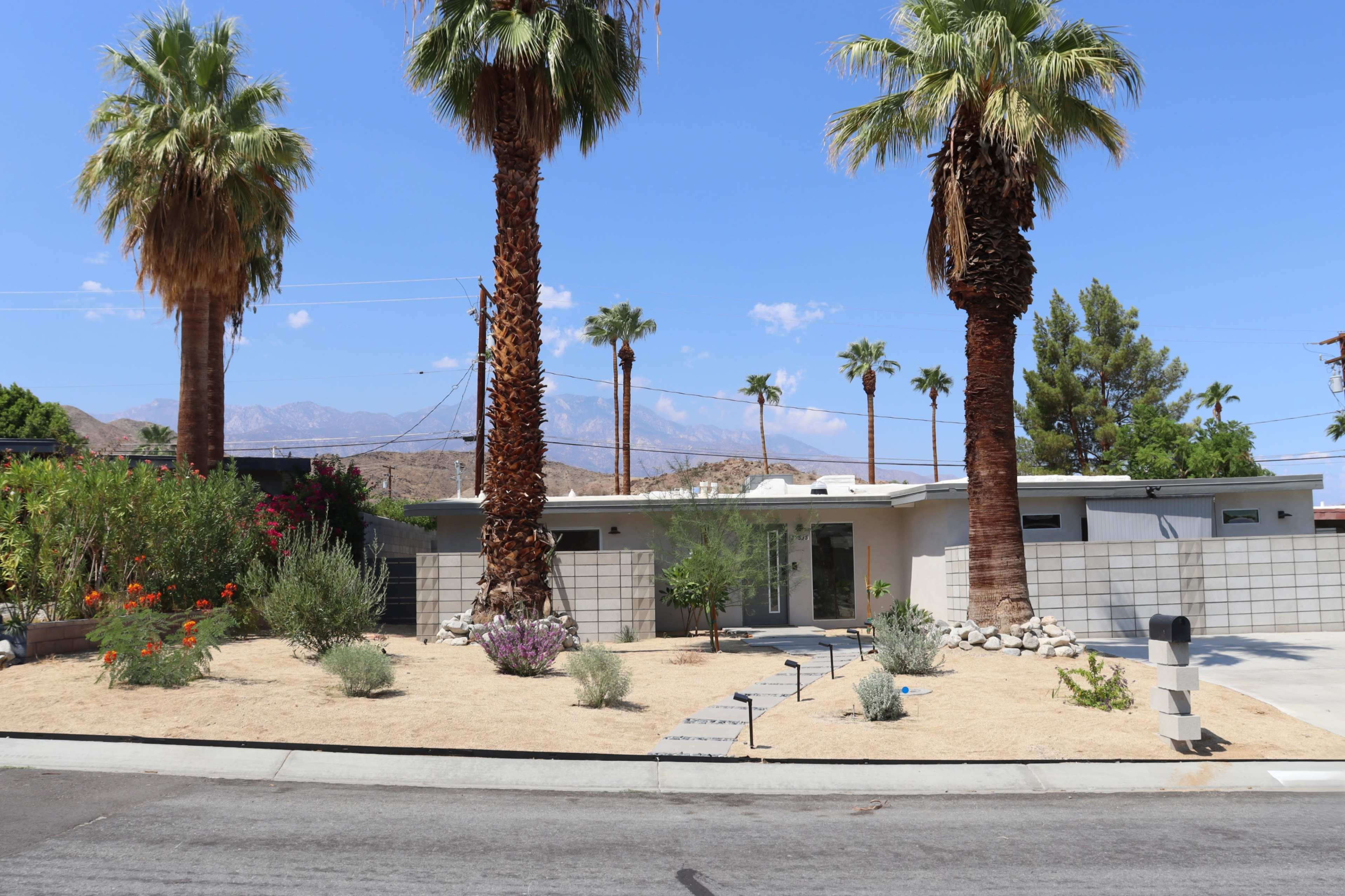 A modern house with a low-profile design is situated in a desert landscape, surrounded by tall palm trees and desert vegetation.